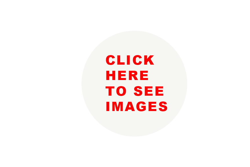 A black circular placeholder with a white circle in the center containing red text that reads "CLICK HERE TO SEE IMAGES."