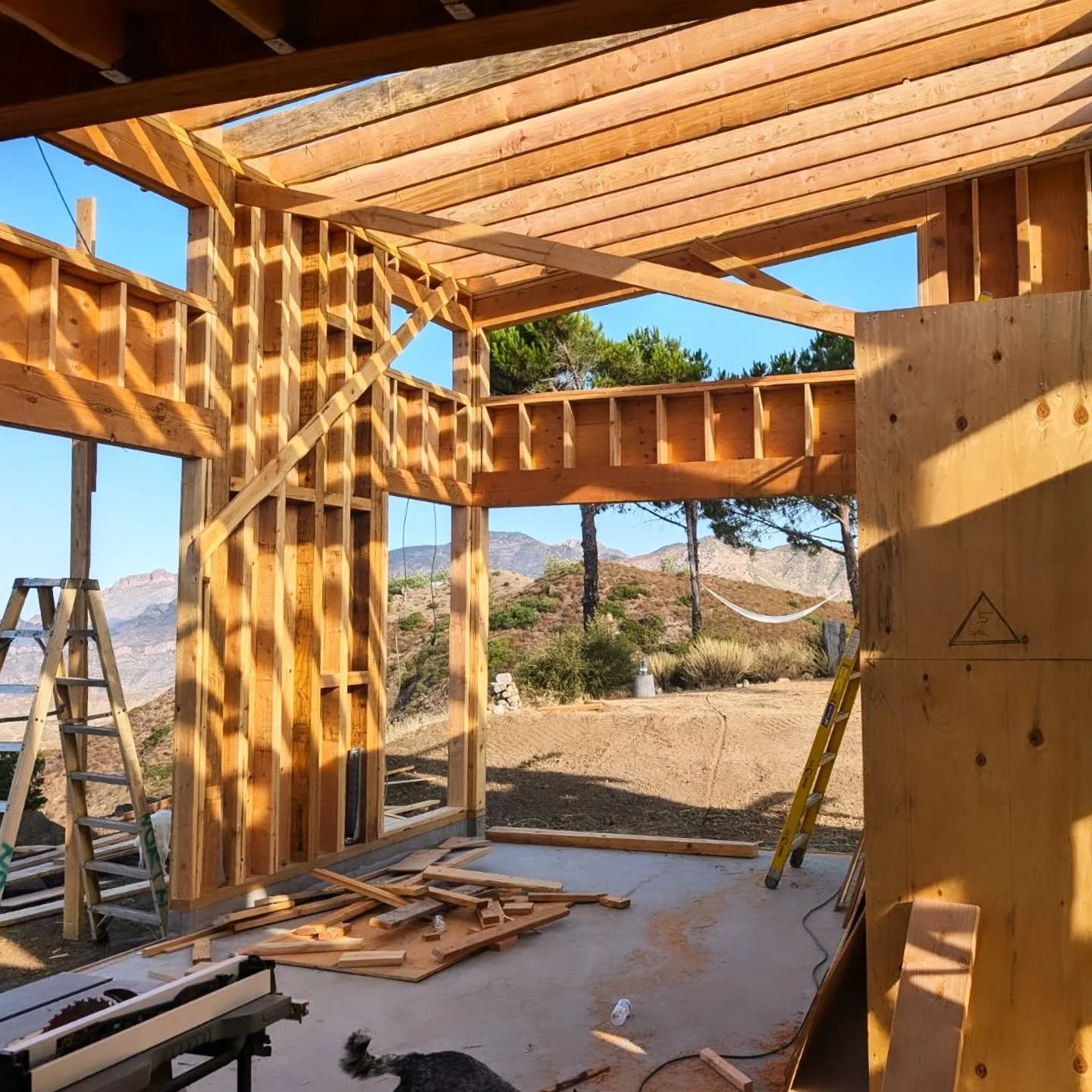 Each piece of lumber is performing both a structural presence but also in telling a story. Defining spacial meaning and capturing views important for both the client but also in the vision of the home. Walls, ceilings and floors defining boundaries b