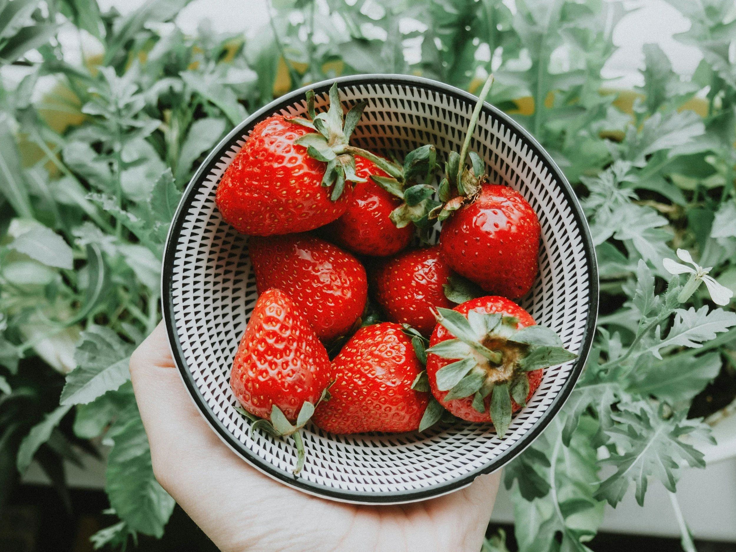 Strawberry Picking & Jam Making