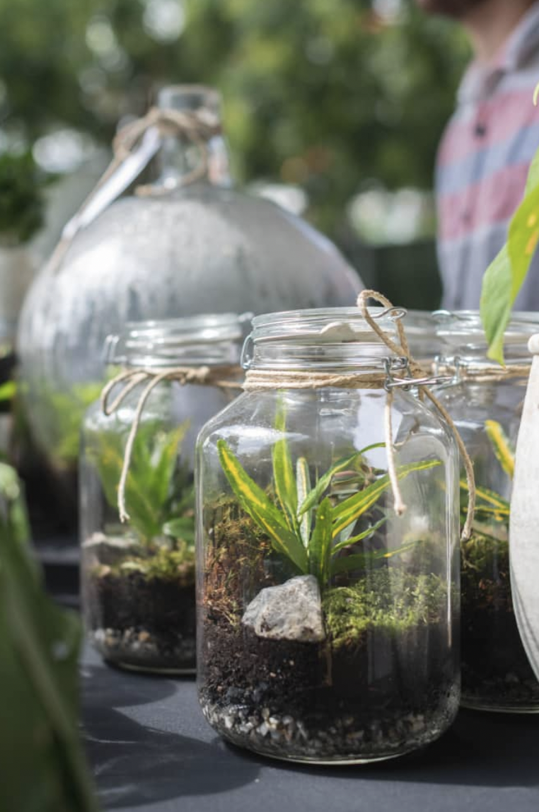 Terrarium Building