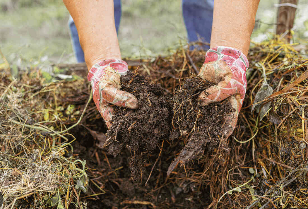 Screenshot 2025-09-13 at 9.41.21 AM.png