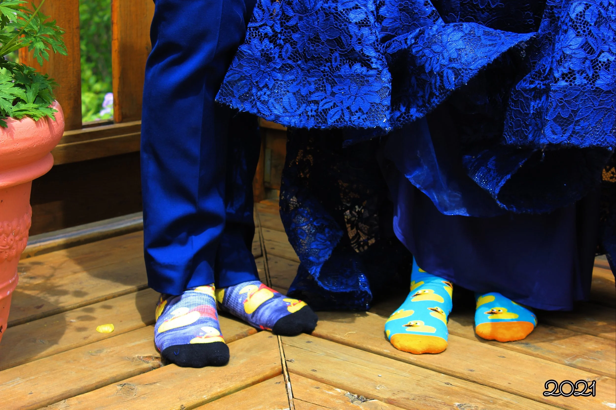 Jeremy & Bailey Socks.jpg