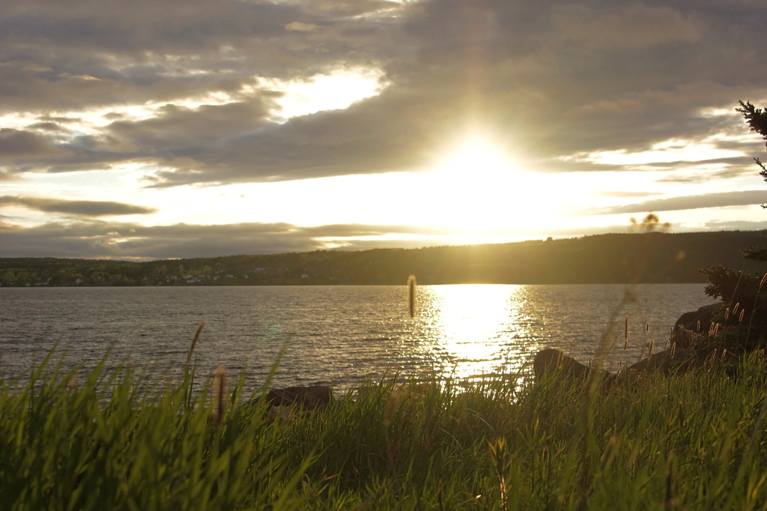 June 9_24 Edited #4.jpg