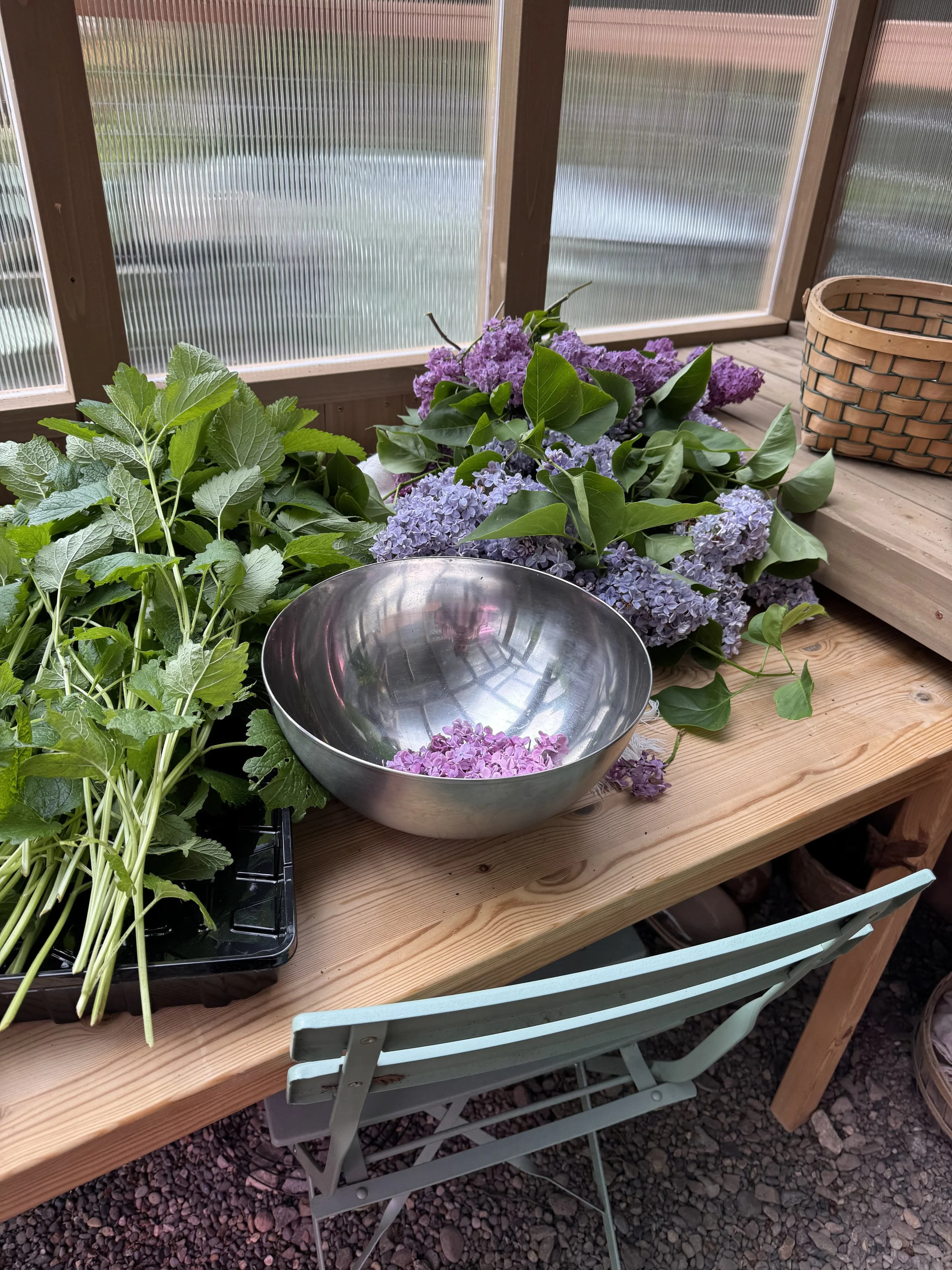 A wooden table with purple and green flowering plants, a metal bowl, and a wicker basket on a wooden surface, with frosted glass windows in the background.