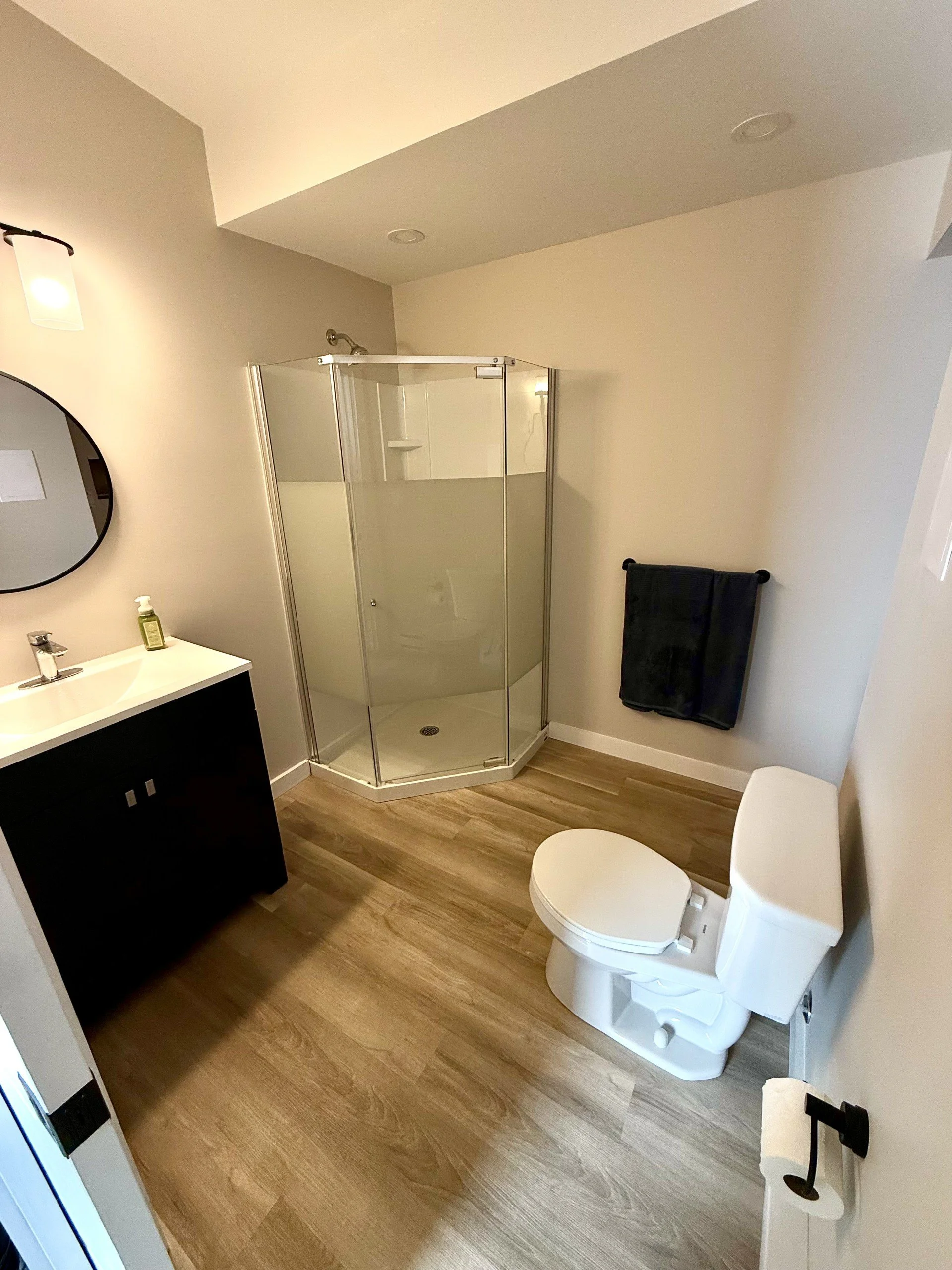 Combo bathroom/laundry
