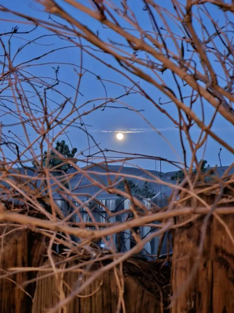 The Best Day Trips out of Las Vegas