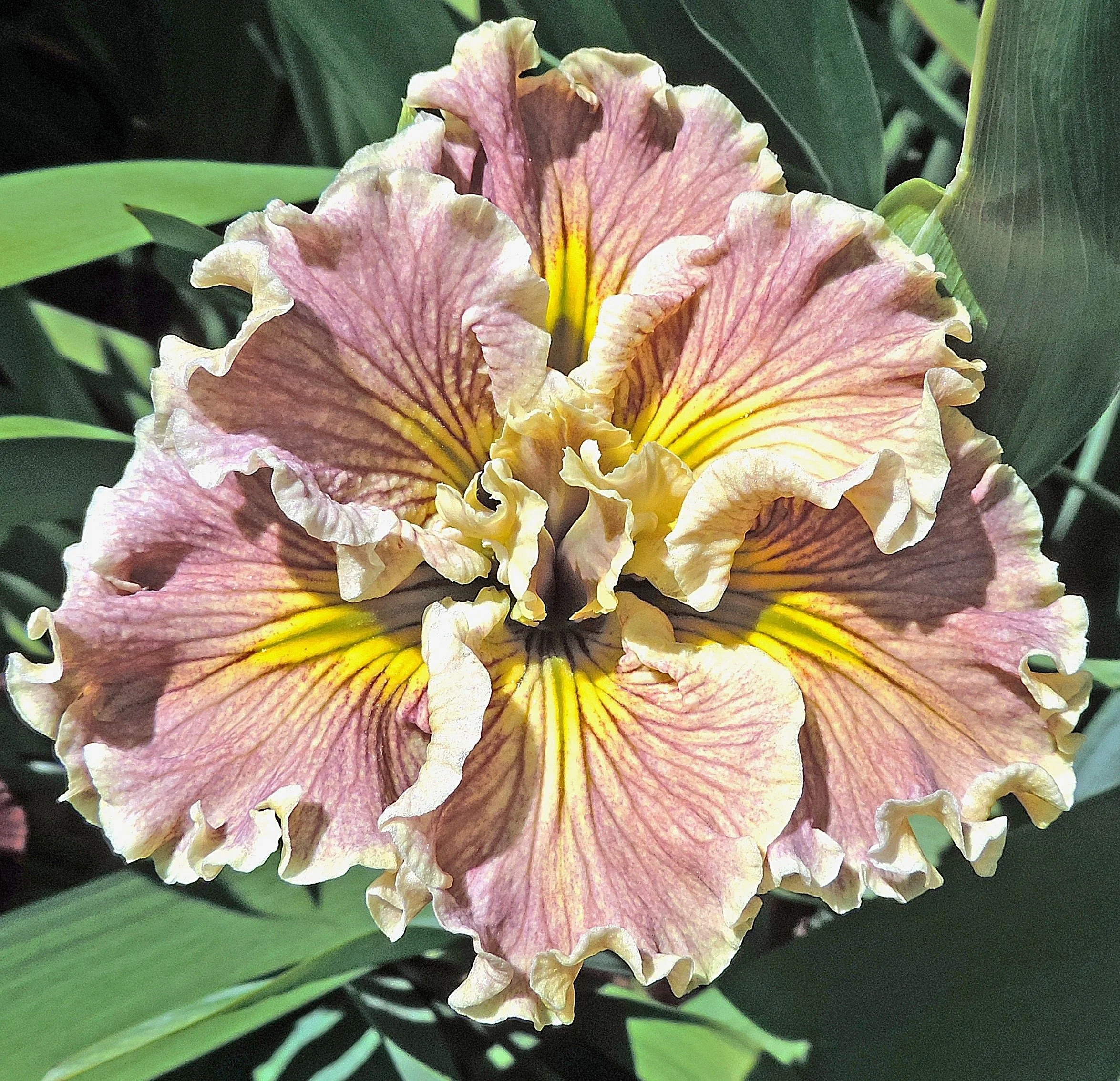 MARSHMALLOWS PLEASE 2.jpg