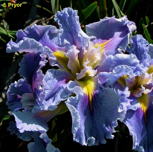 Swirling Waters 03.jpg