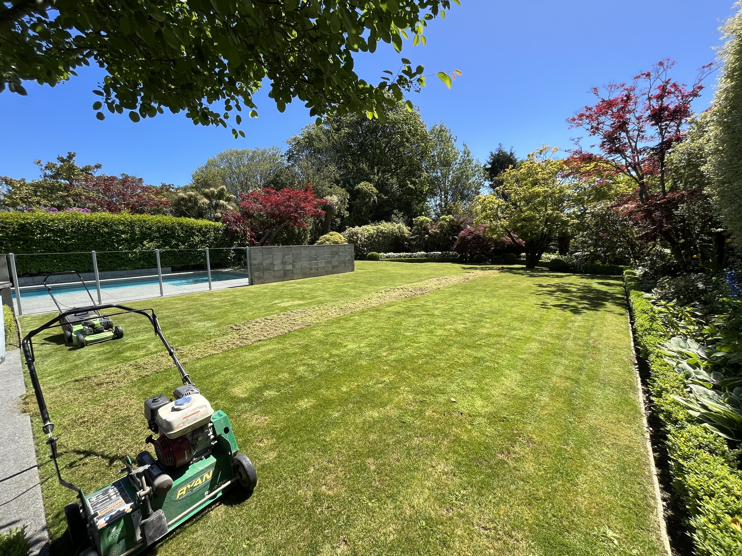 Lawn scarifying