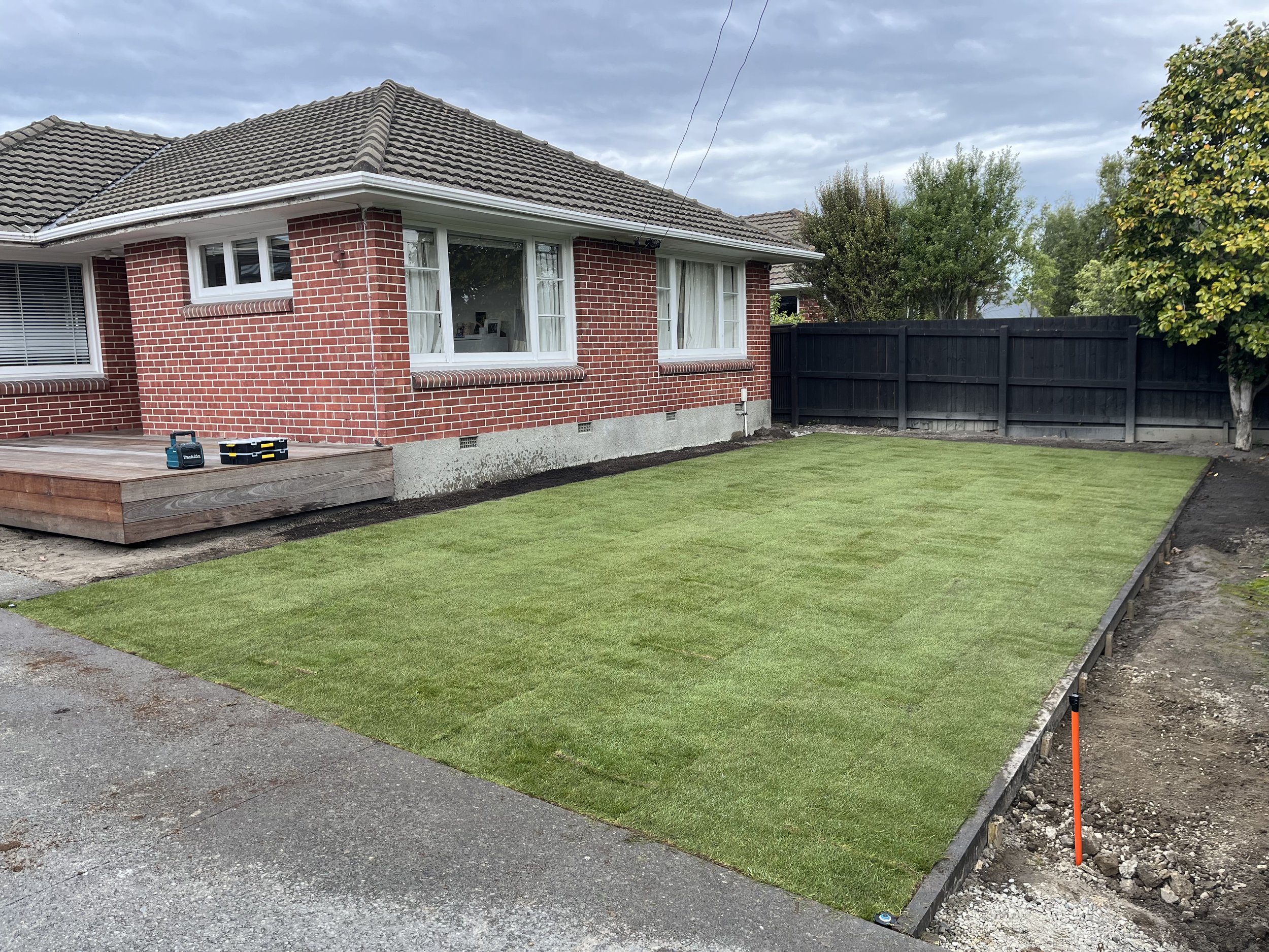 New Ready Lawn