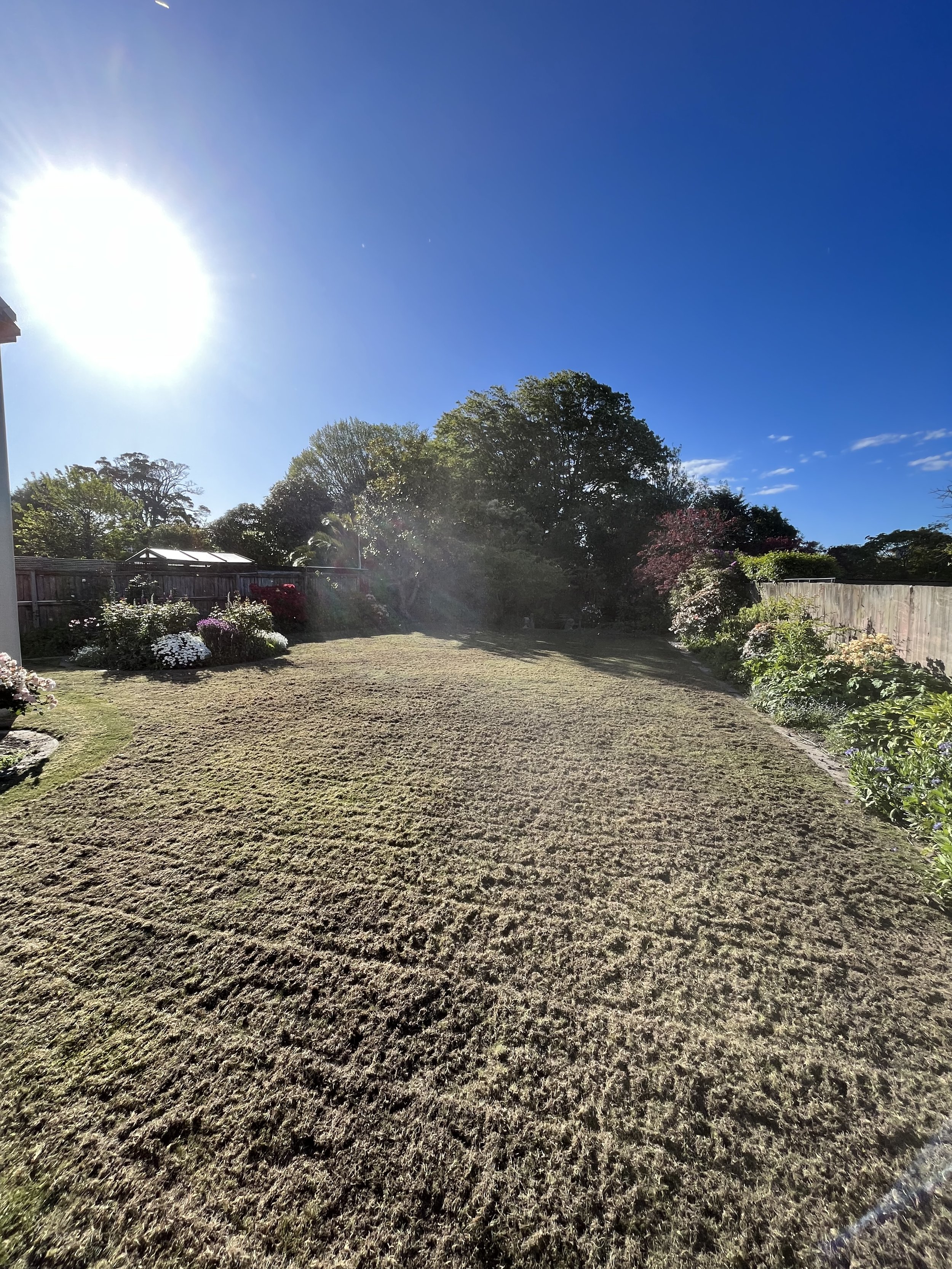 Lawn scarifying