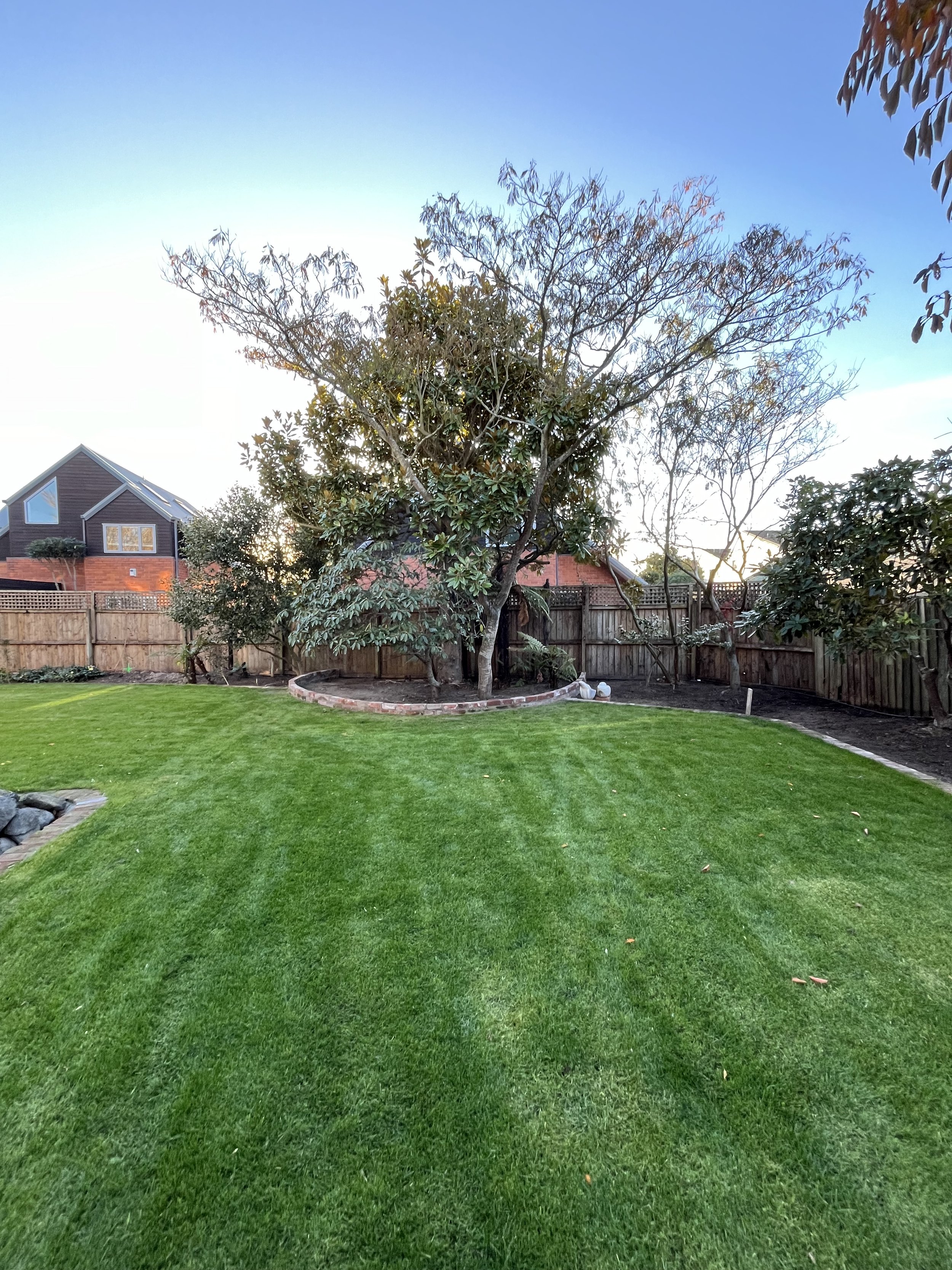 Hydroseed lawn