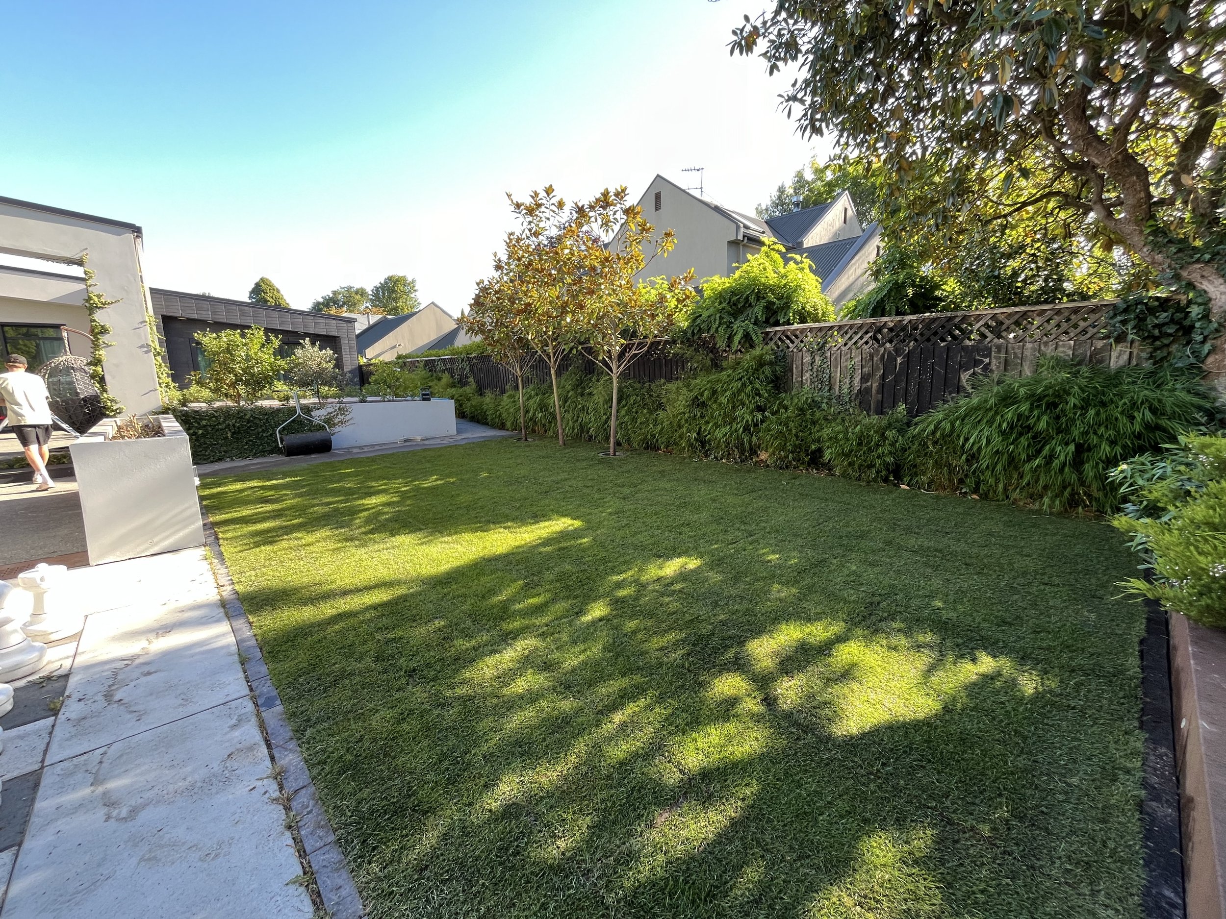 New Ready Lawn
