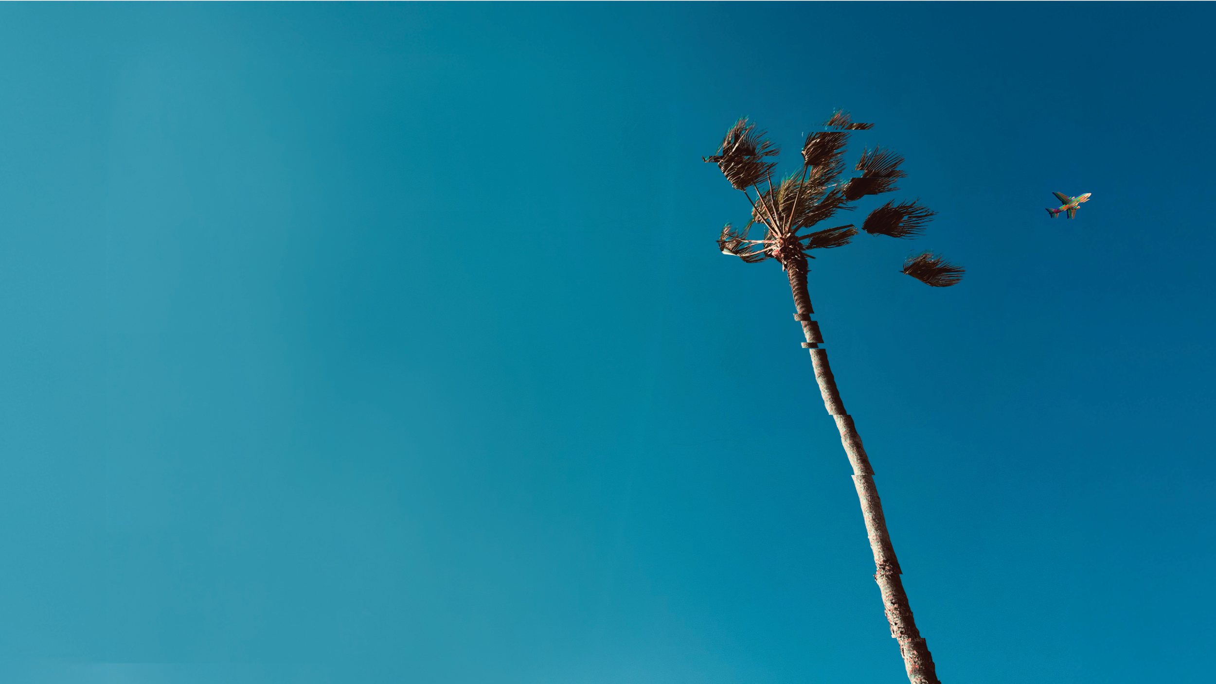 Dyingmoon Web Thumbnail.png