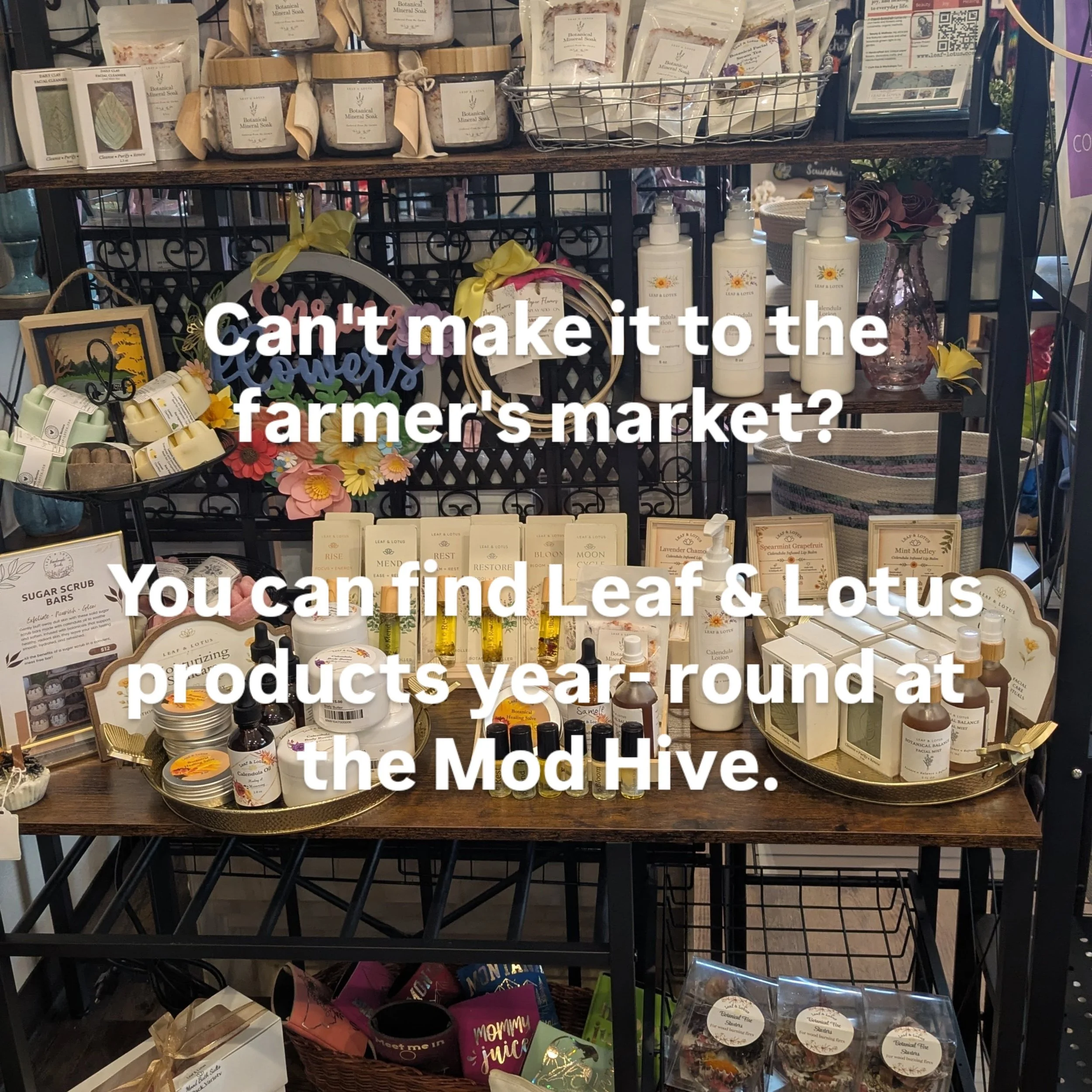 🌿 Mod Hive Restock 🌿

One of the things I love about The Mod Hive is that you can shop Leaf &amp; Lotus between farmers markets.

I've just restocked some of my newest creations, including Calendula Lotion, Botanical Rollers, Botanical Mineral Soak