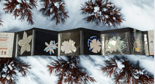 Screenshot 2025-12-01 101659.png