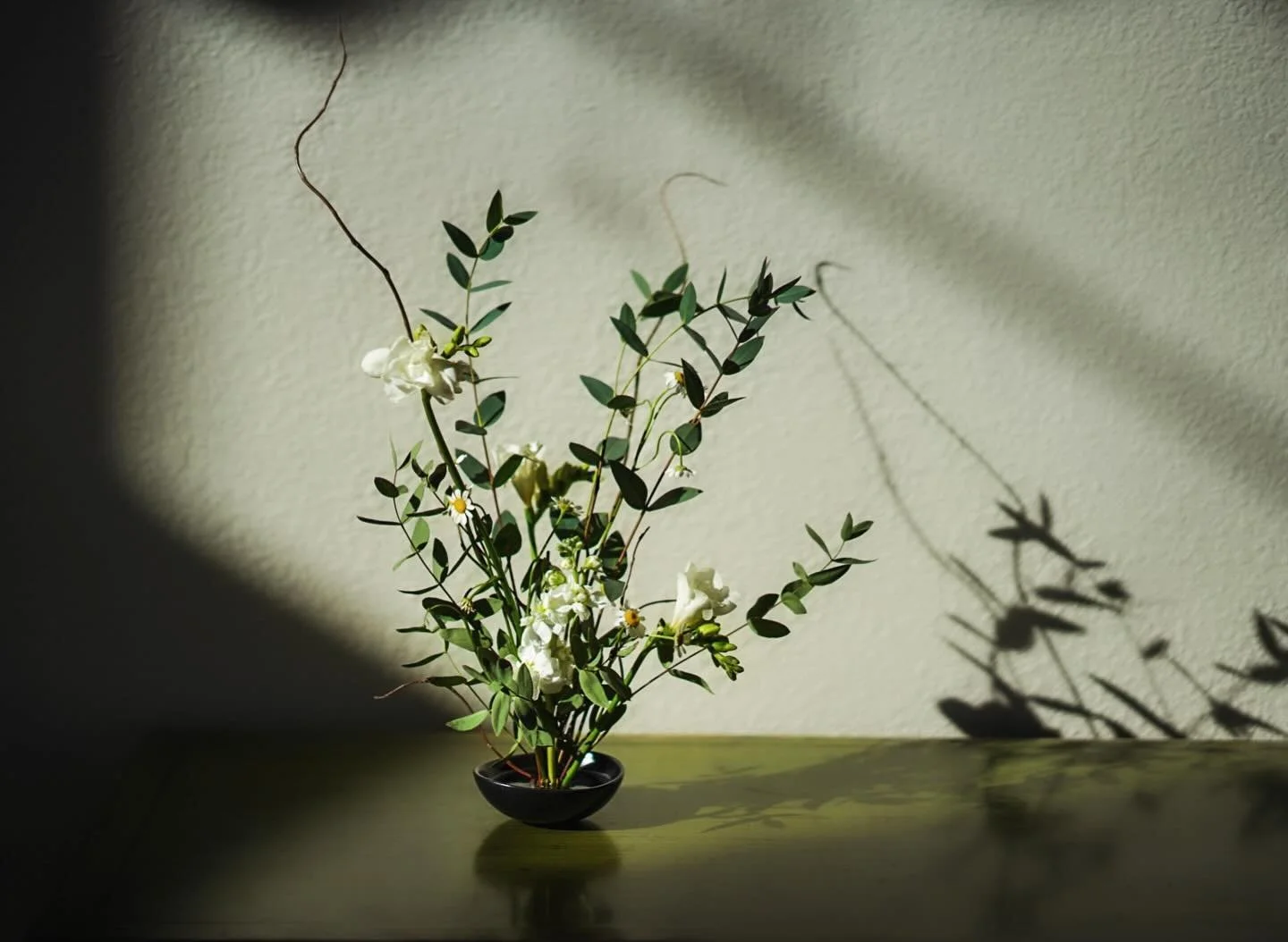 There&rsquo;s something about floral shadows that always captivates me. This ikebana arrangement is one of my favorites, featuring Feverfew, Israeli Ruscus, and white Freesia. 📷 @rachael_elana_photos