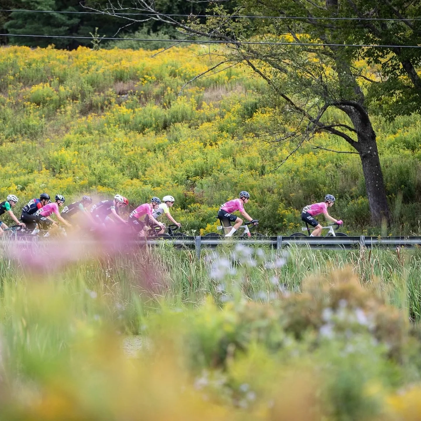 Enjoying the beauty of Vermont.
#greenmountainstagerace #efonto