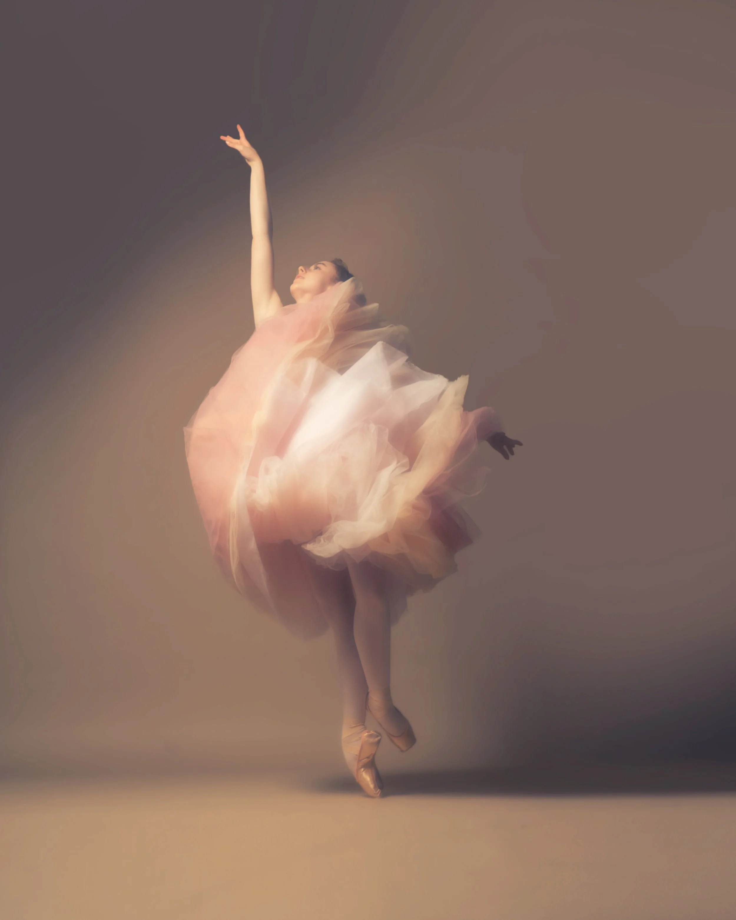Davids Collection - September Social Media Shoot 2026 - Tenley Fitzpatrick - Tulle Shapes-2 filter 3.jpg