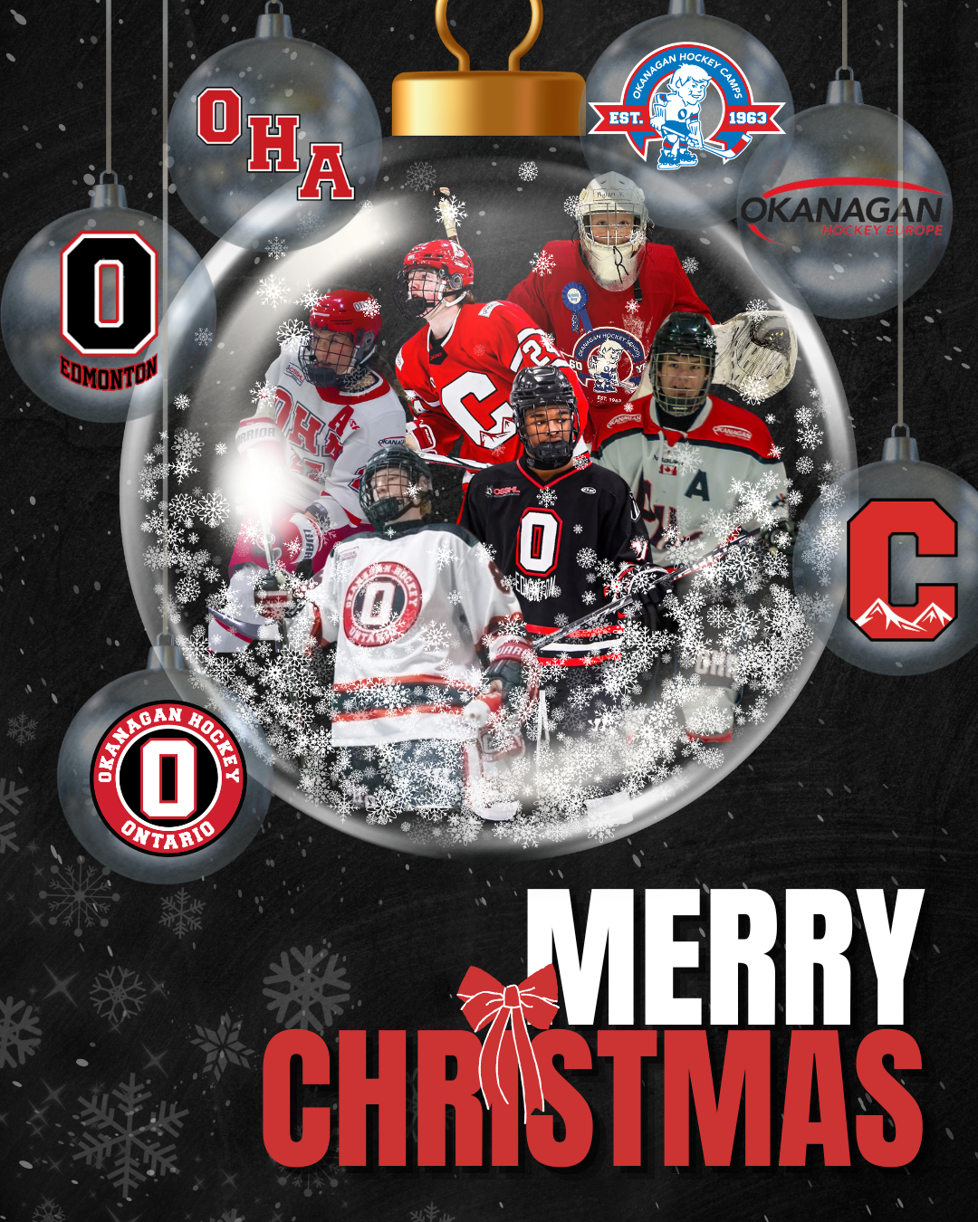 merry christmas 2025.png