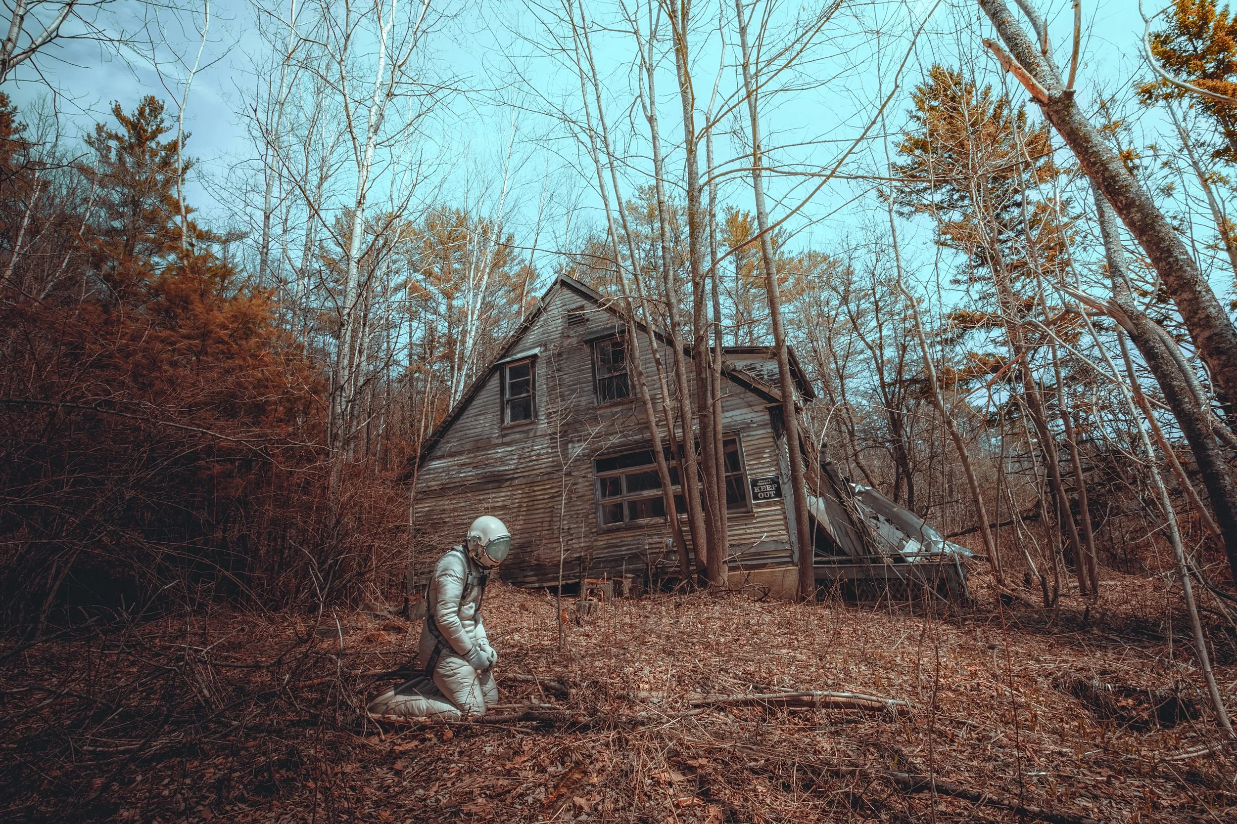 The House In The Woods - Karen Jerzyk