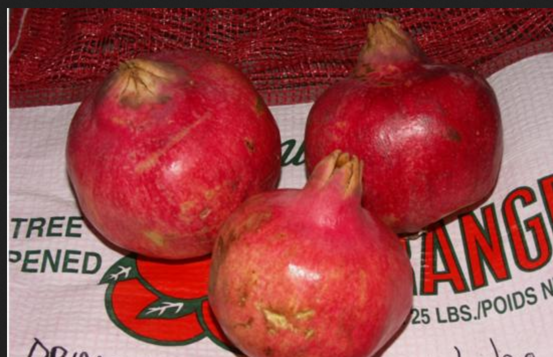 Screenshot 2025-05-07 at 19-01-01 167991display.jpg (JPEG-Grafik 550 × 355 Pixel).png