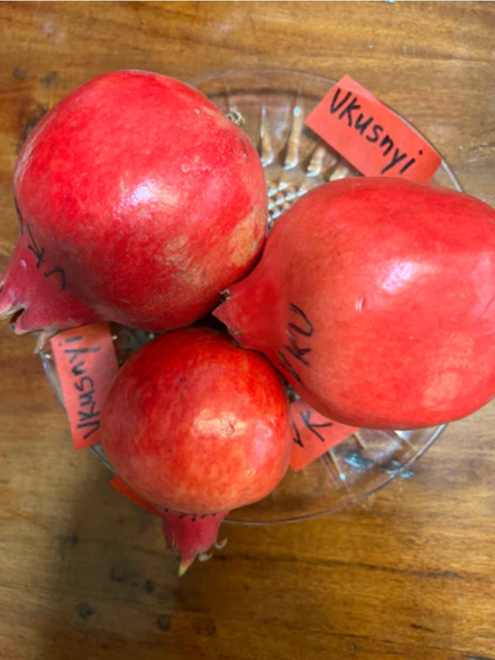 Screenshot 2025-05-07 at 17-40-28 POMEGRANATES MainStreetTrees.png