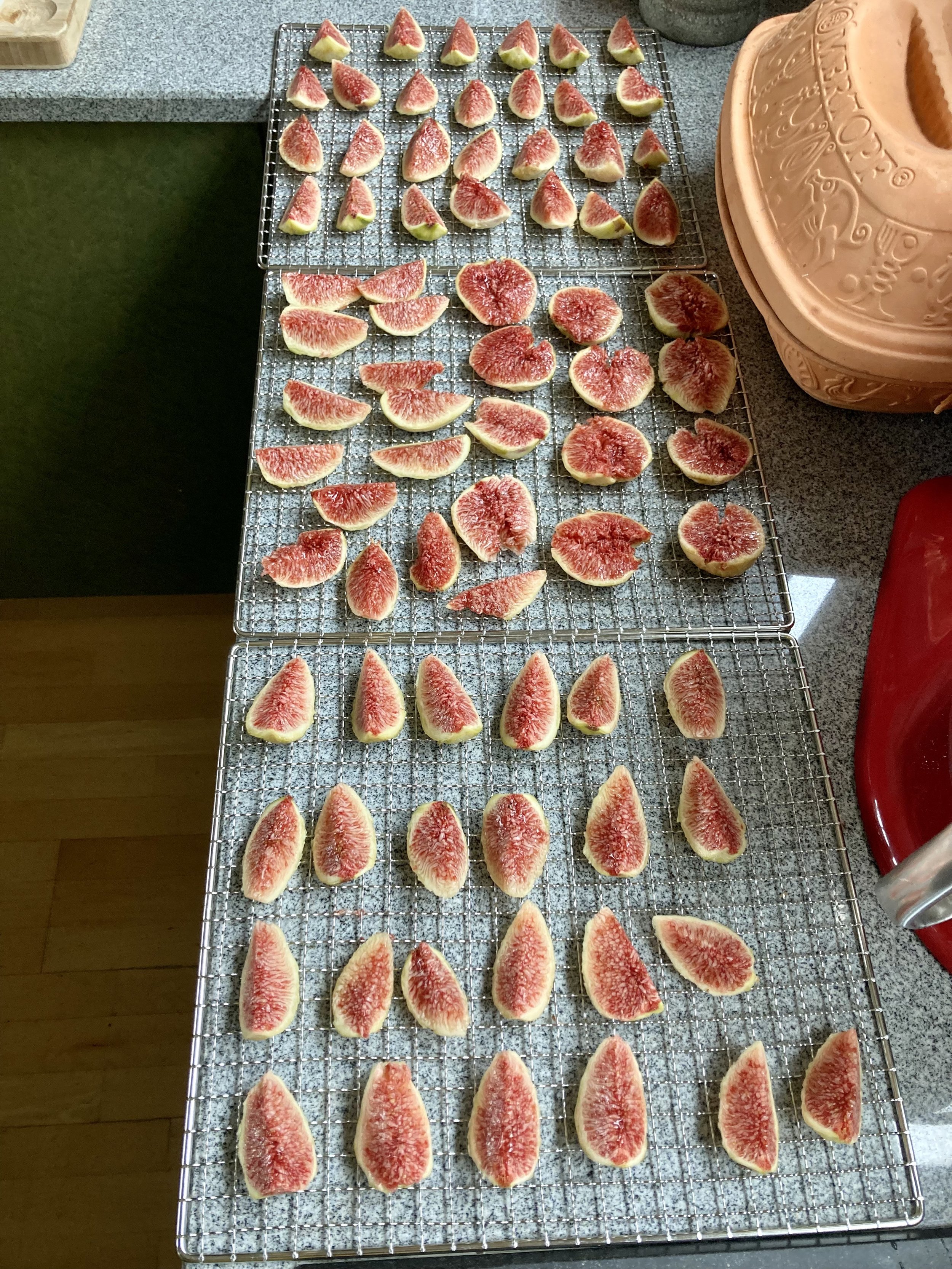 Feigenschnitze zum trocknen