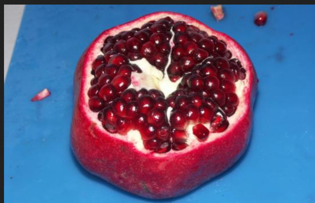 Screenshot 2025-05-07 at 19-01-20 167961display.jpg (JPEG-Grafik 550 × 355 Pixel).png