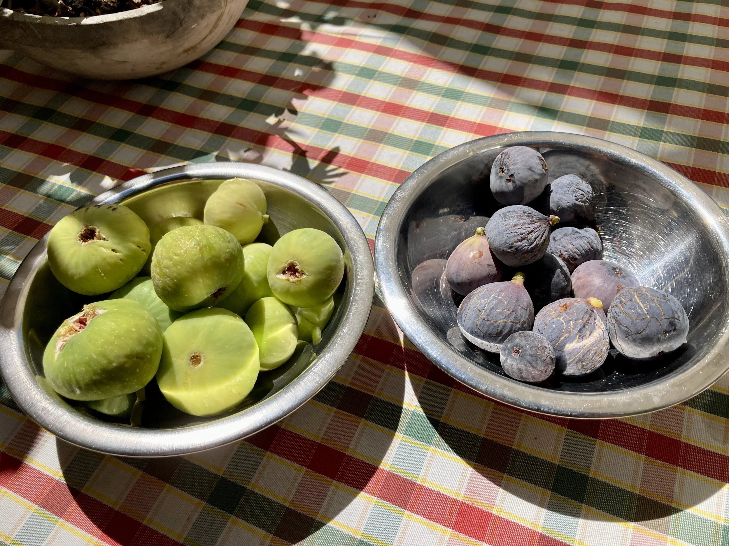 Herbstfeigen in Split (Kroatien)