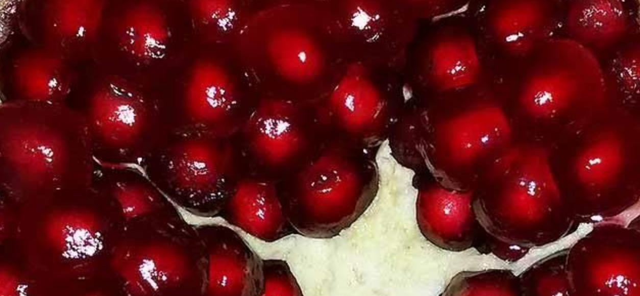 Screenshot 2025-05-07 at 18-57-11 Punica granatum Granatapfel Sorte 1 var. 1.png