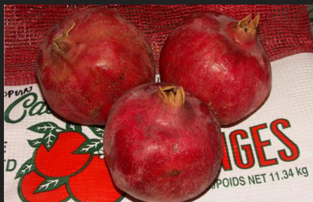 Screenshot 2025-05-07 at 19-01-46 167960display.jpg (JPEG-Grafik 550 × 355 Pixel).png