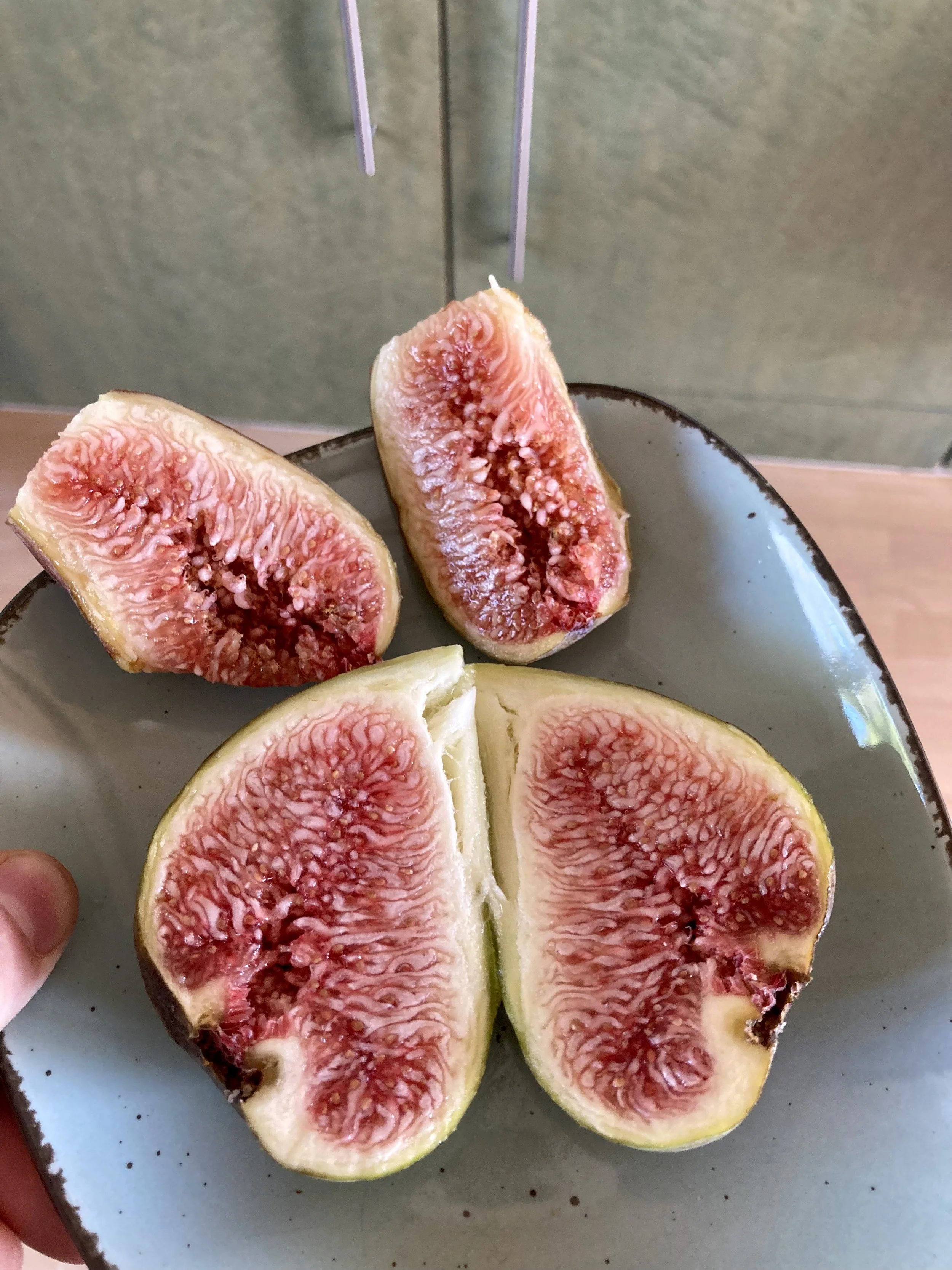 Herstfeigen Longue d'aout