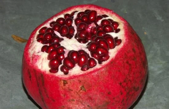 nikitski ranni 2.jpg