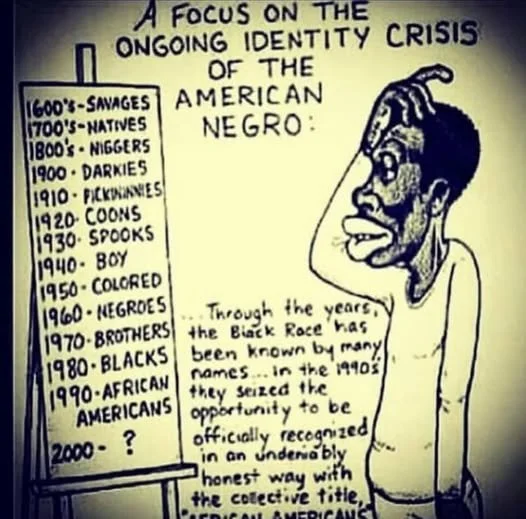 A political cartoon illustrating the ongoing dehumanization and mislabeling of African Americans through history, depicting a caricature of a Black person with a sign listing offensive labels from different decades, and a commentary on racial identity.