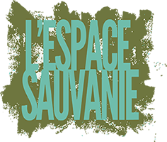 l'espace sauvanie