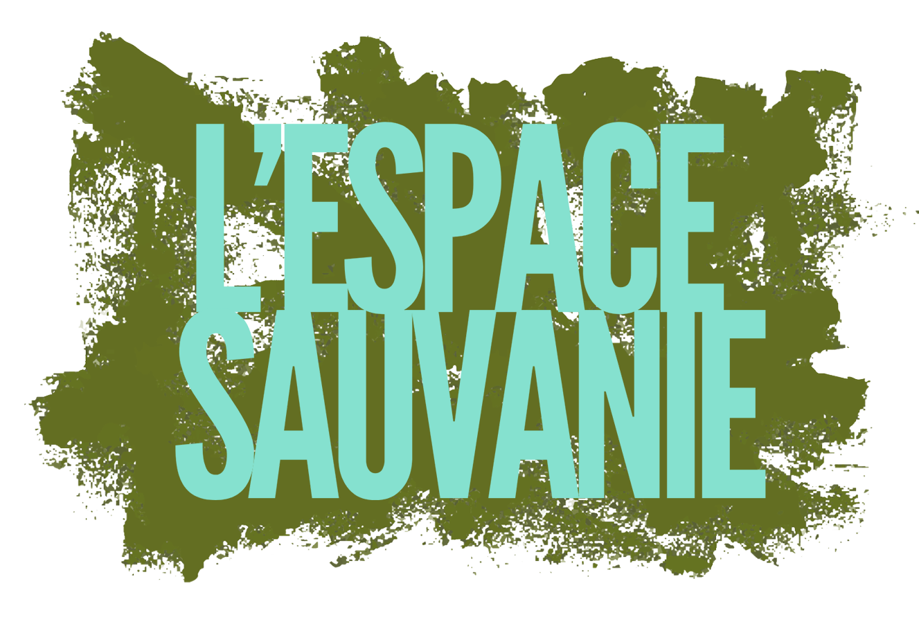 l'espace sauvanie
