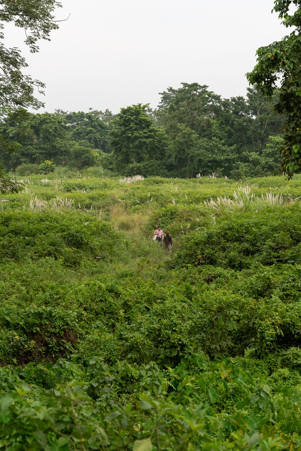 Chitwan-Nationalpark