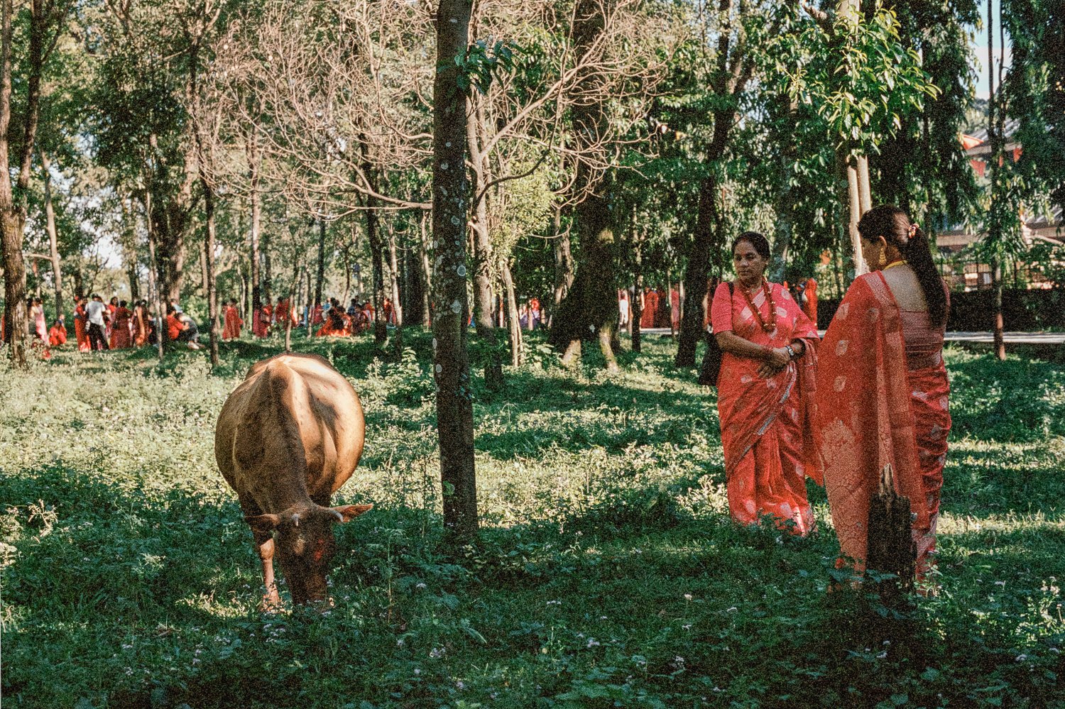 Pokhara