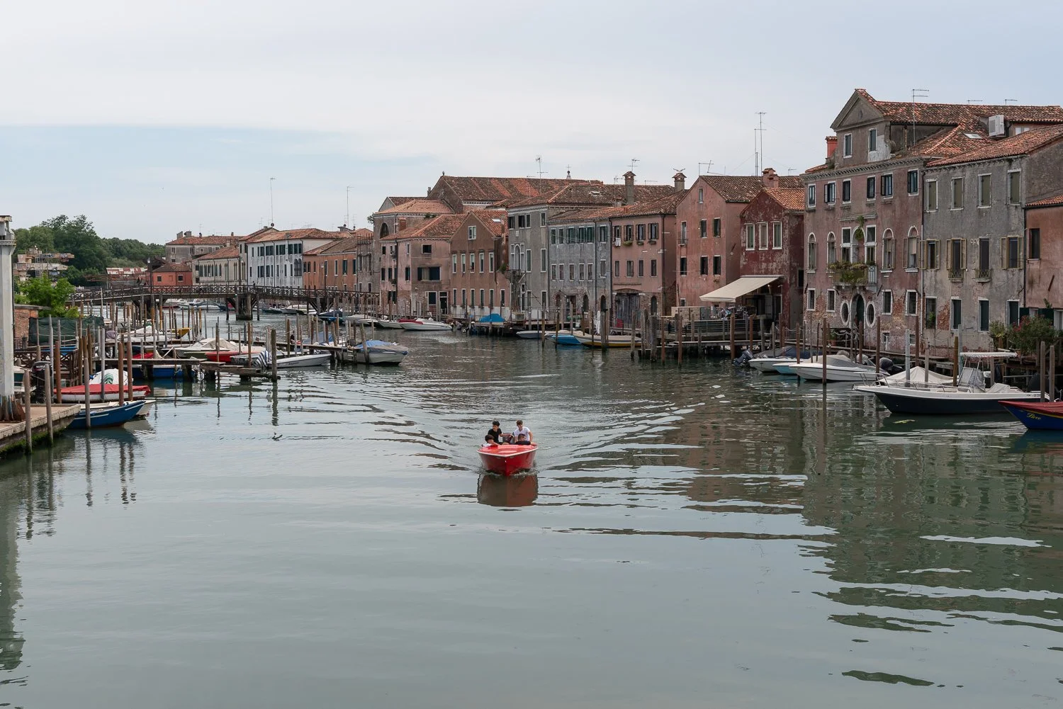 DSC01386.jpg