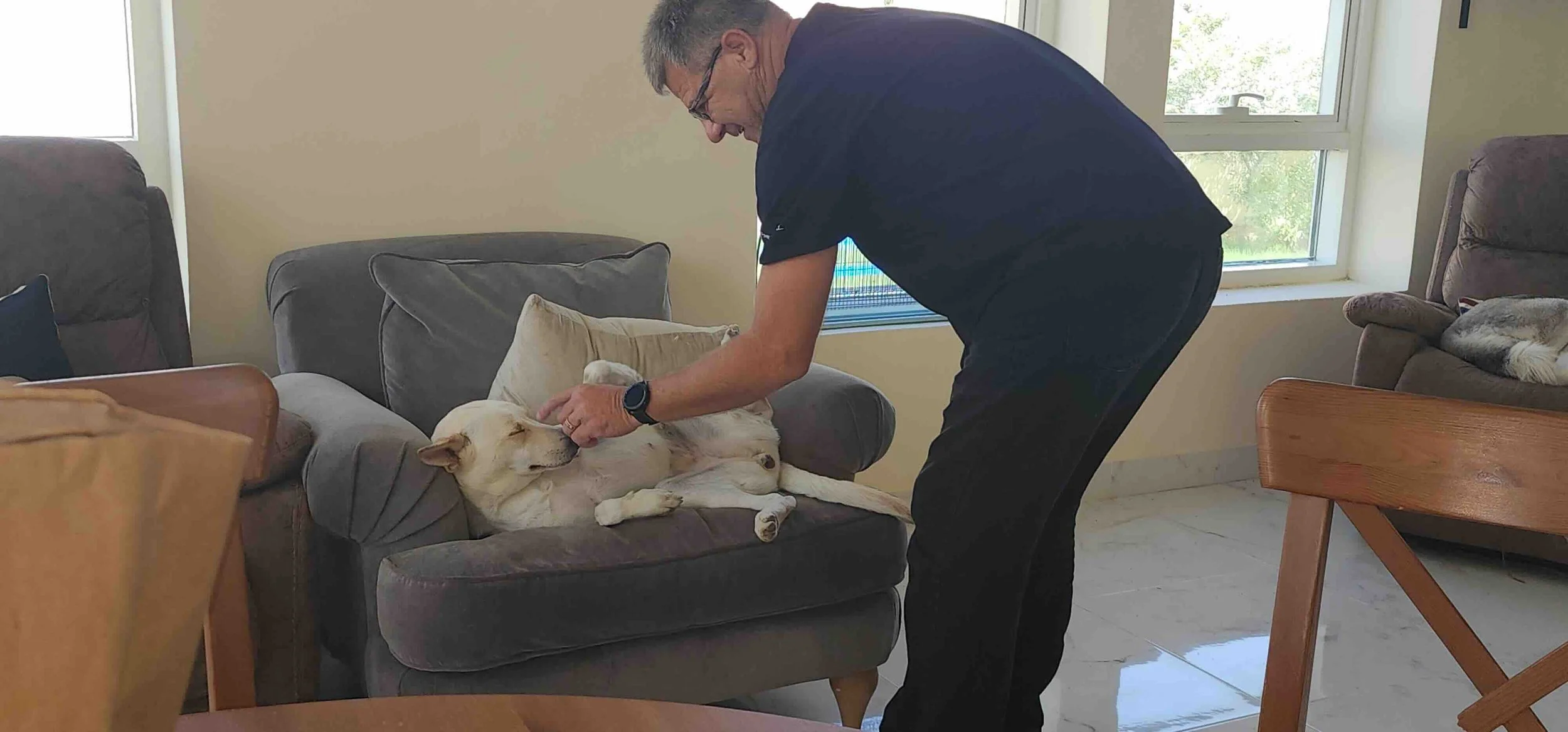 Frank_Frank_Dog_Sitting_Dubai_UAE_Dubai.jpg