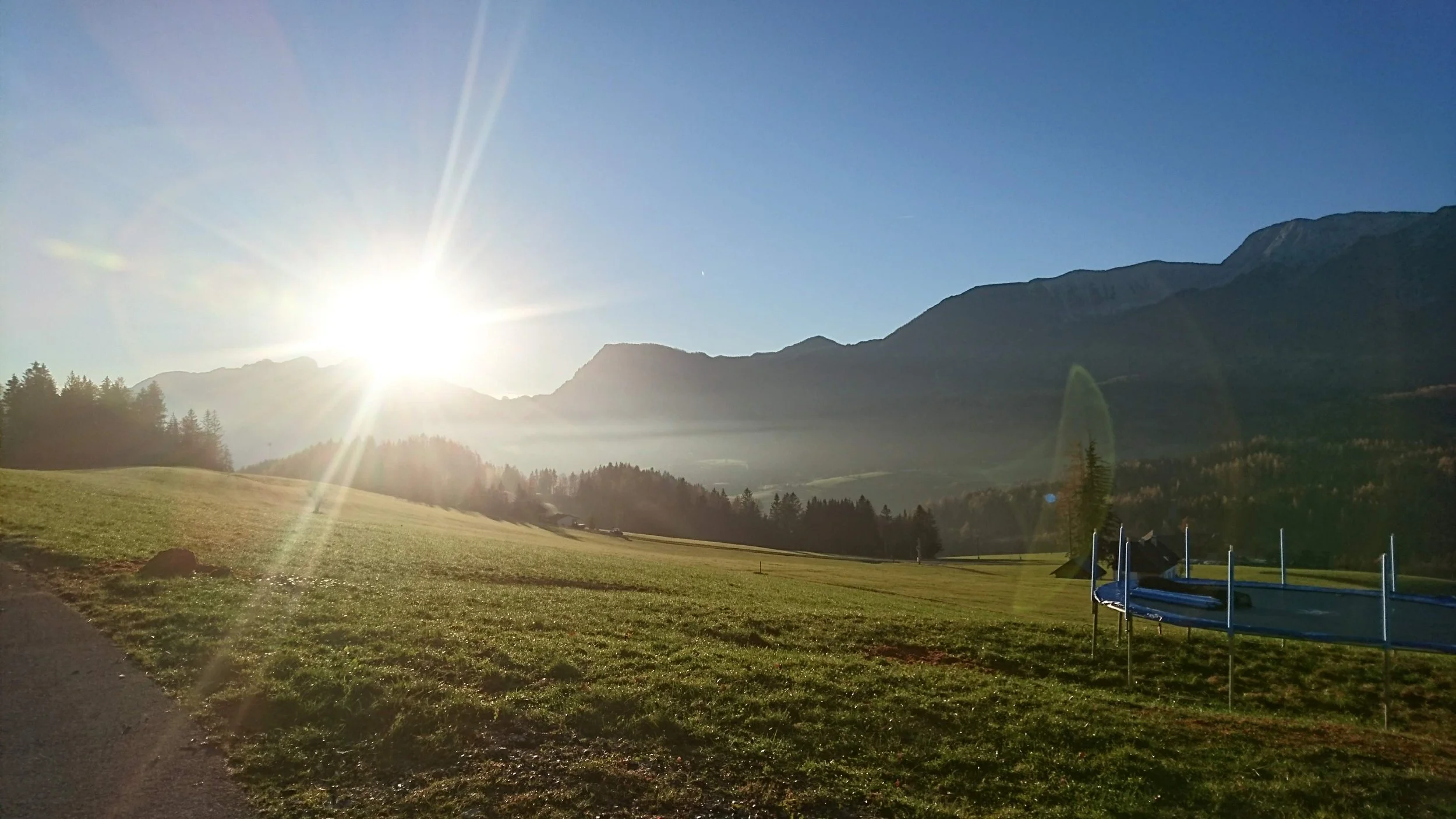 Wiese Berg Gegensonne.JPG