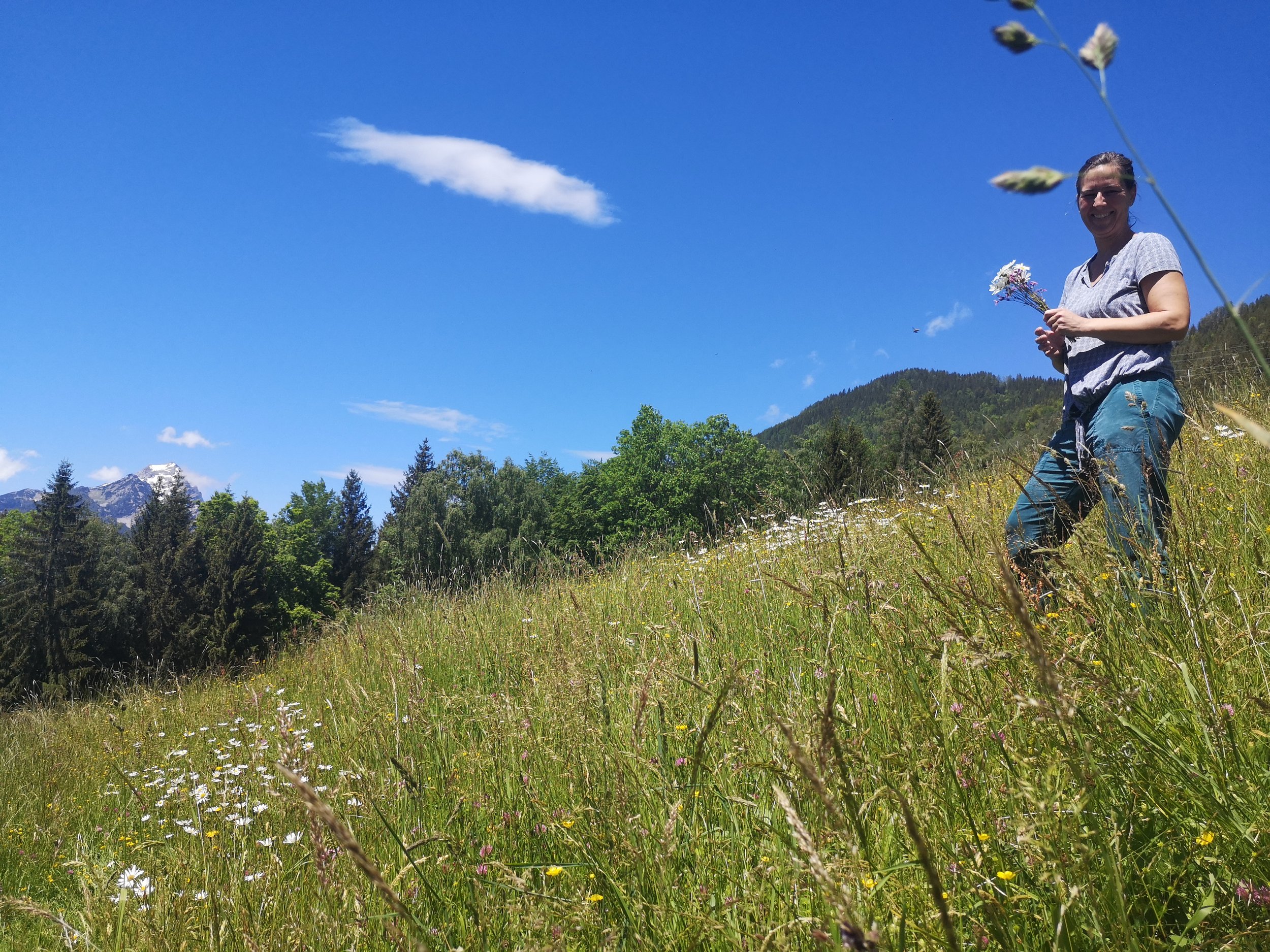 Birgit in der Wiese.jpg