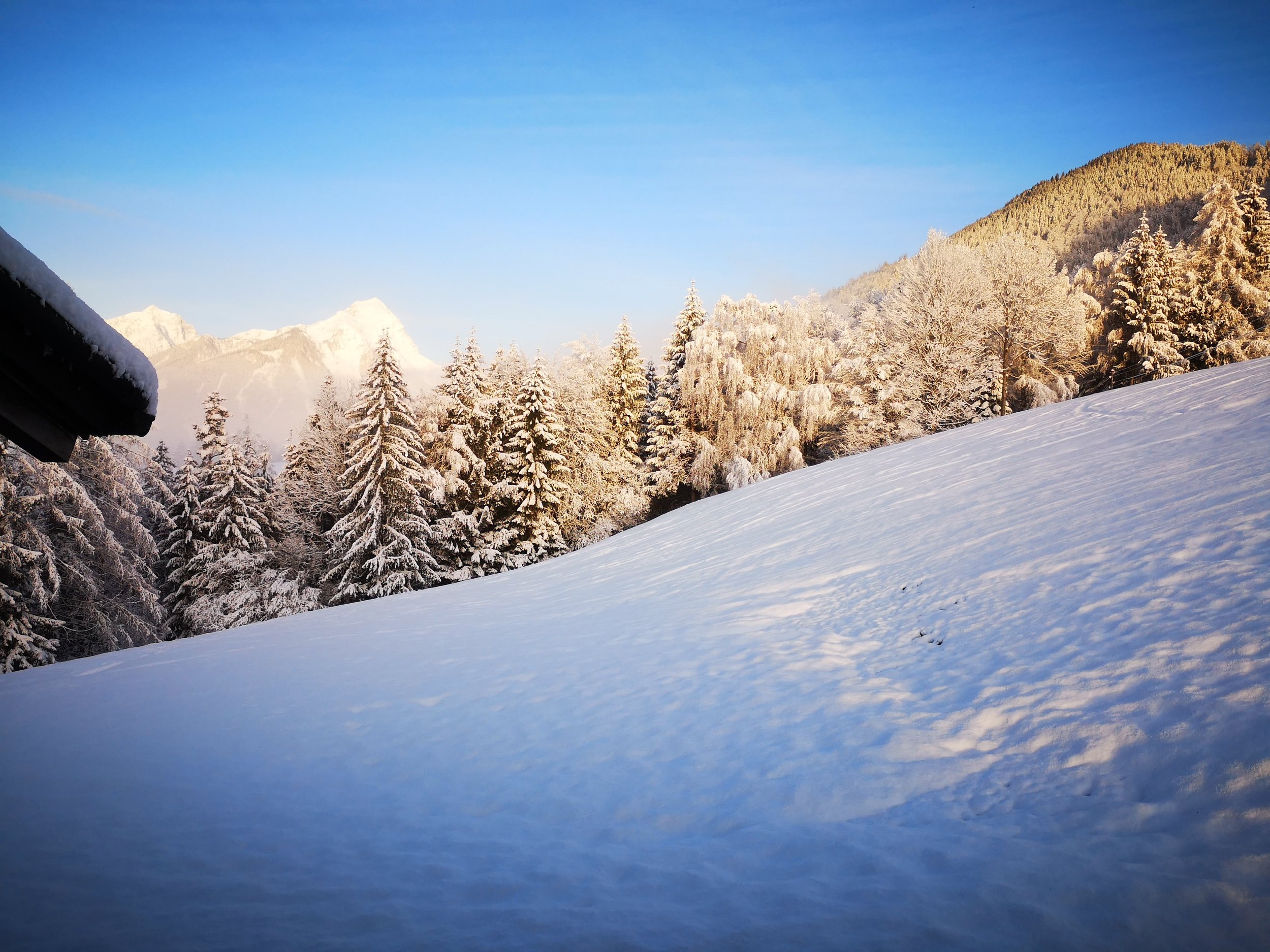 Schneelandschaft.jpg