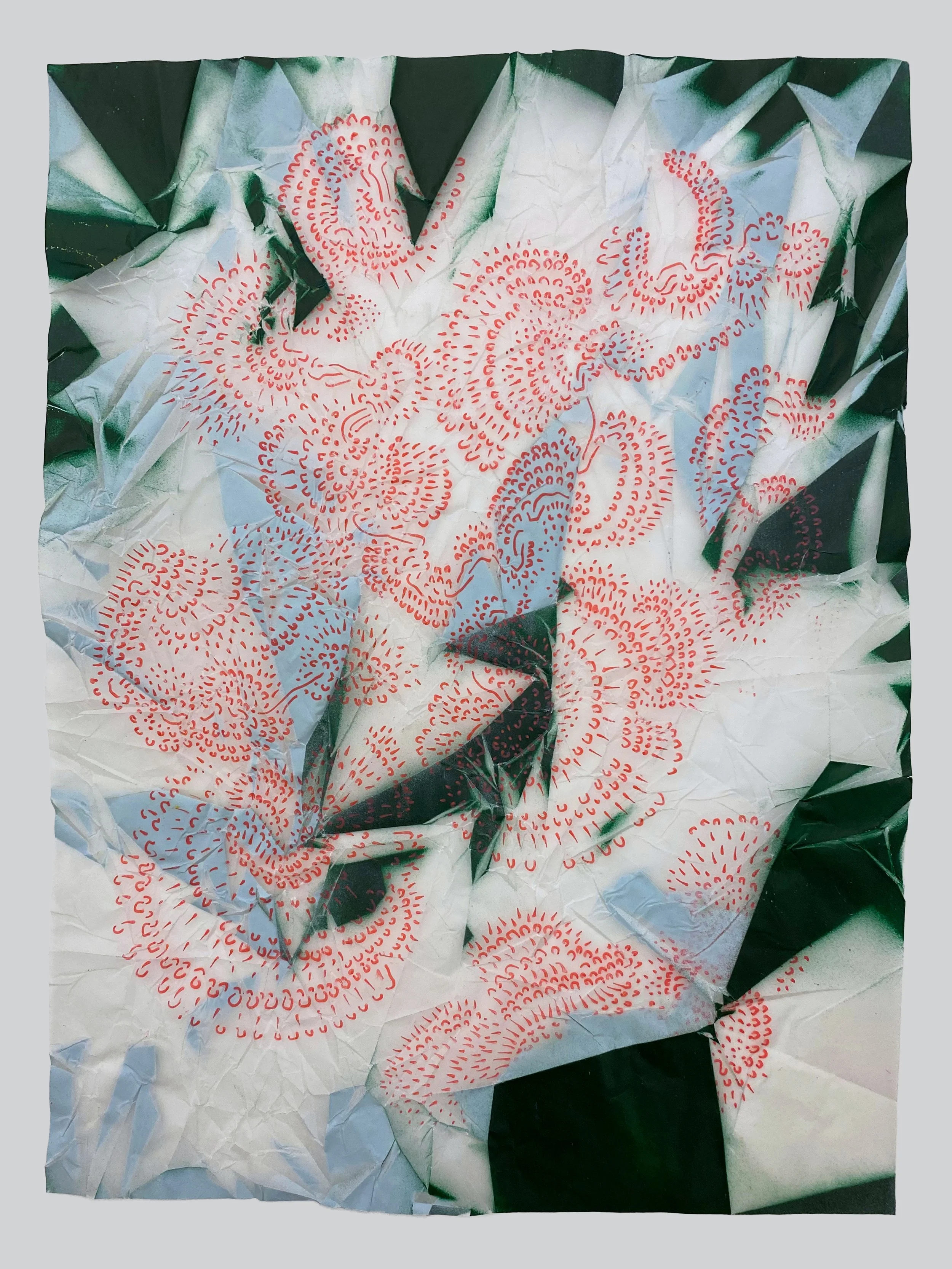 01 IMG_6674 copy 2.jpg