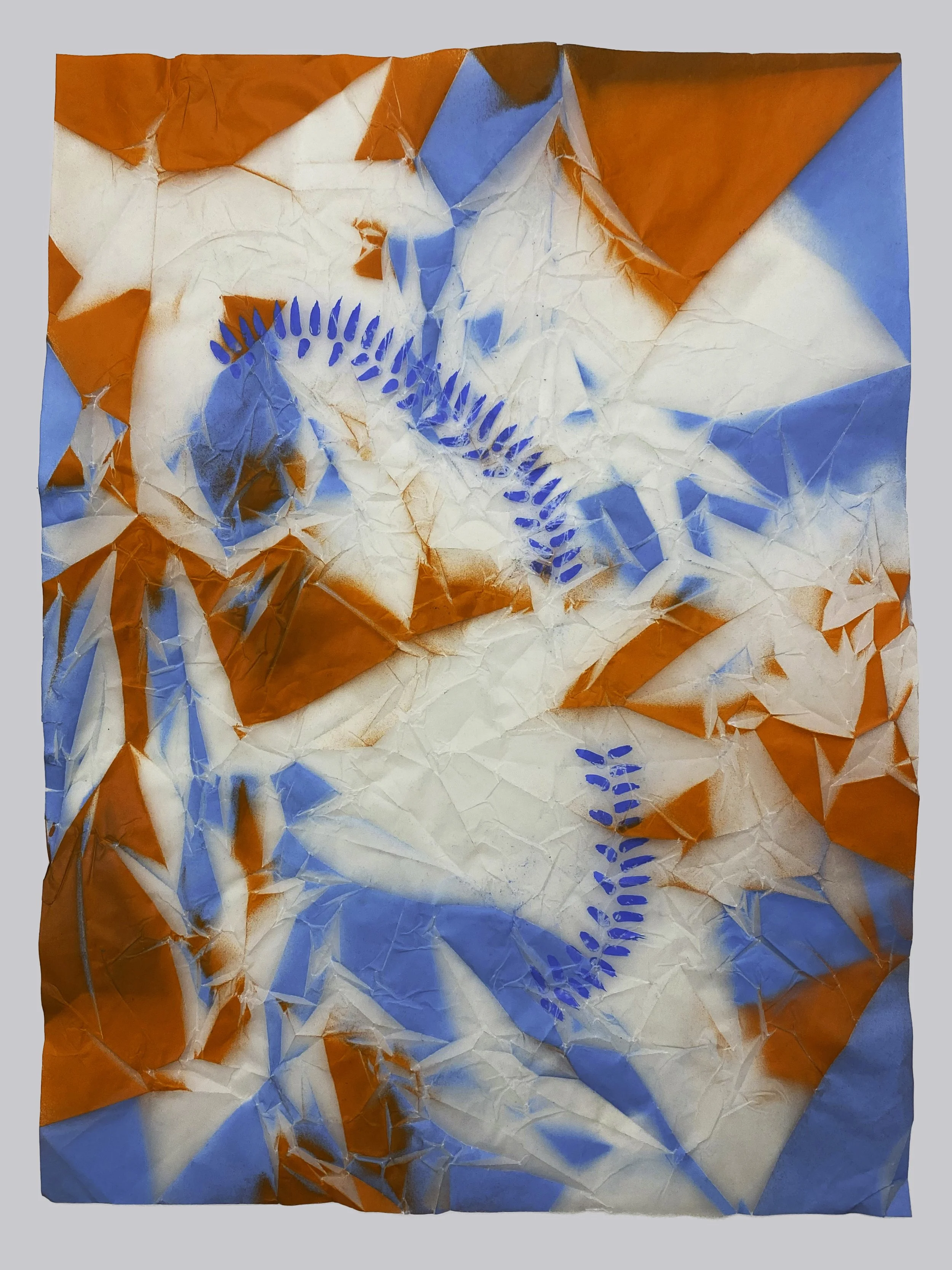 01 IMG_6810 copy 2.jpg