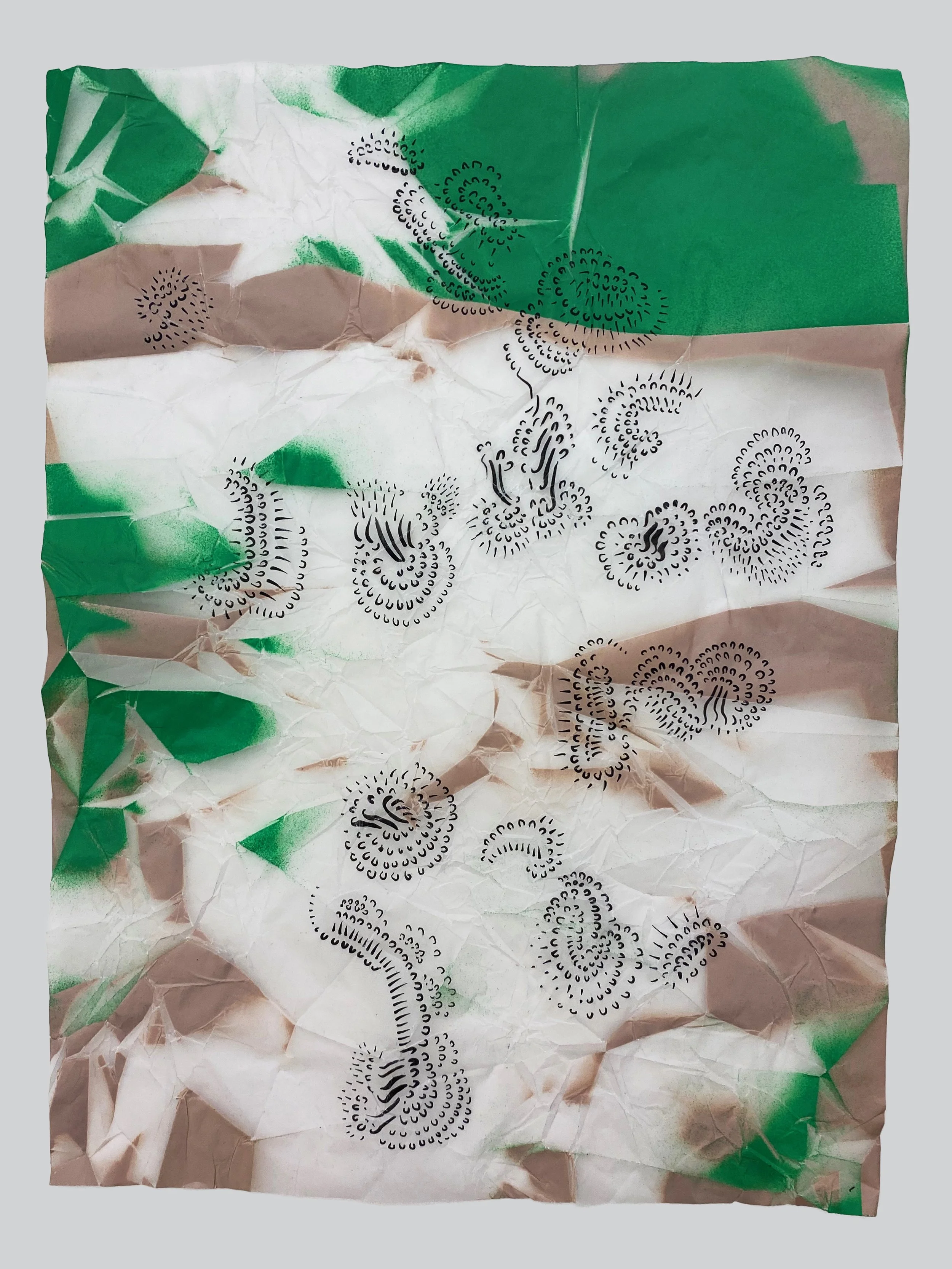 01 IMG_6632 copy 2.jpg