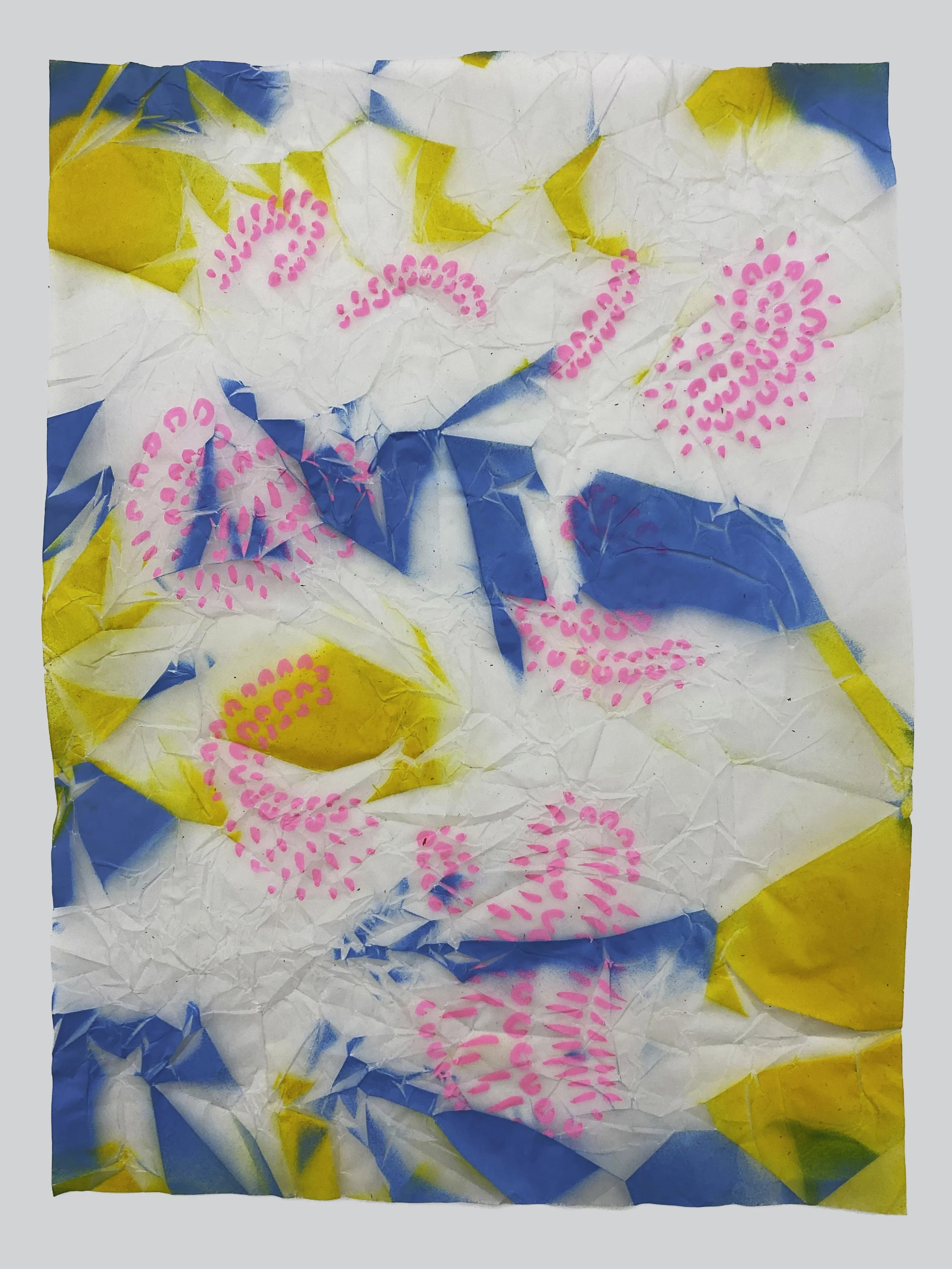 01 IMG_6726 copy 2.jpg