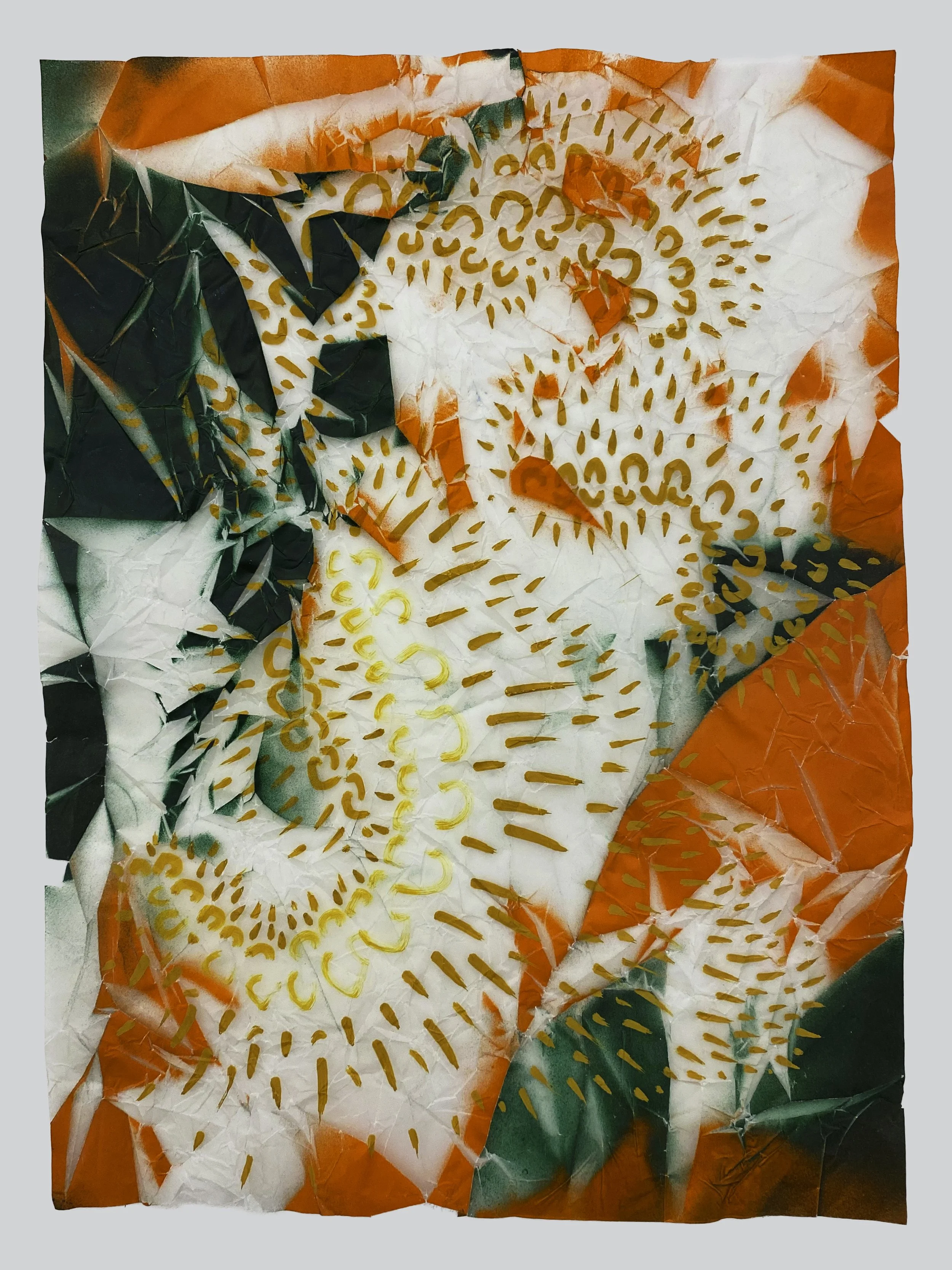 01 IMG_6729 copy 2.jpg