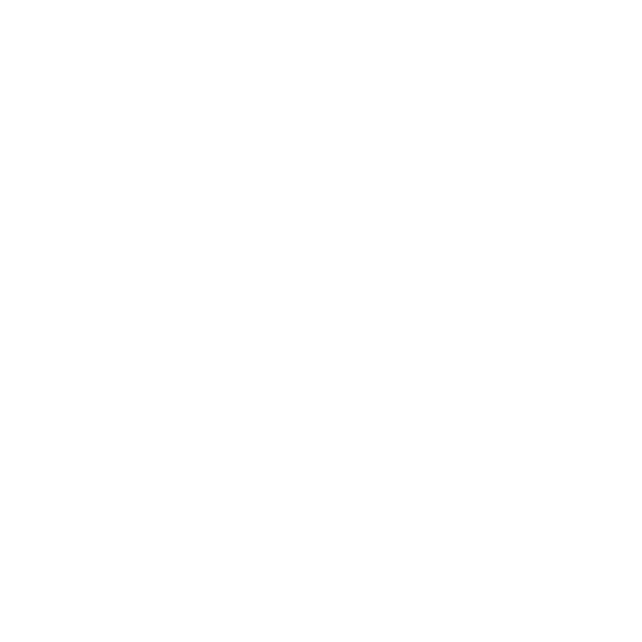 P-3-security Logo